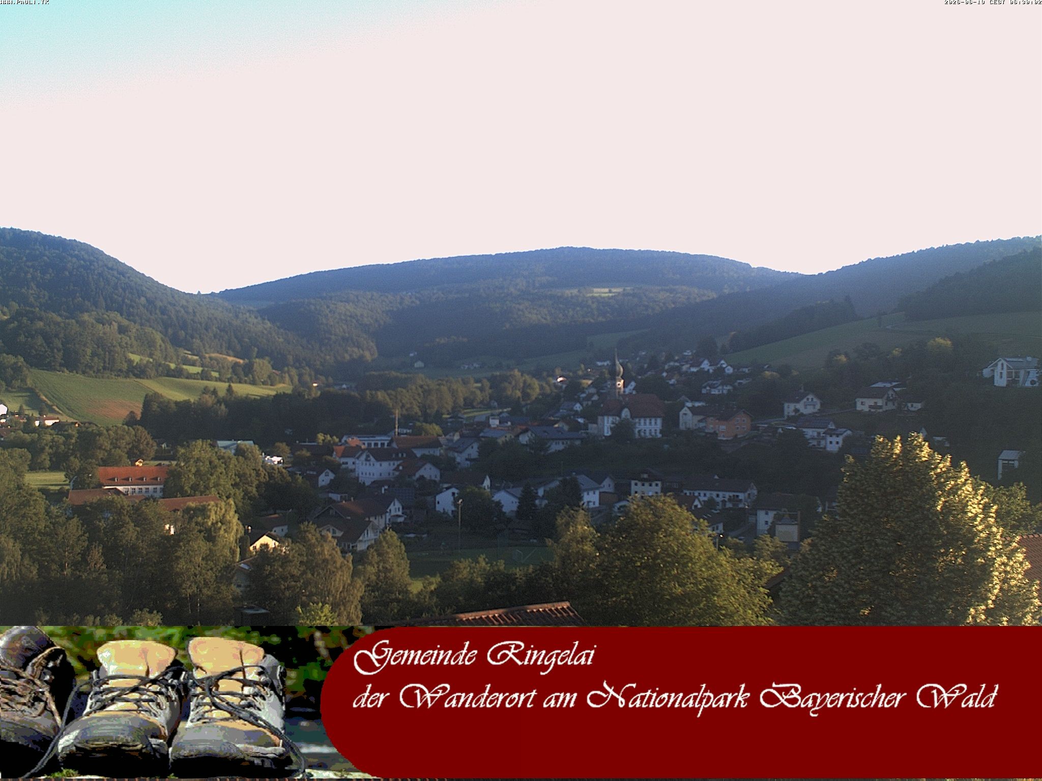 Archiv Foto Webcam Ringelai
