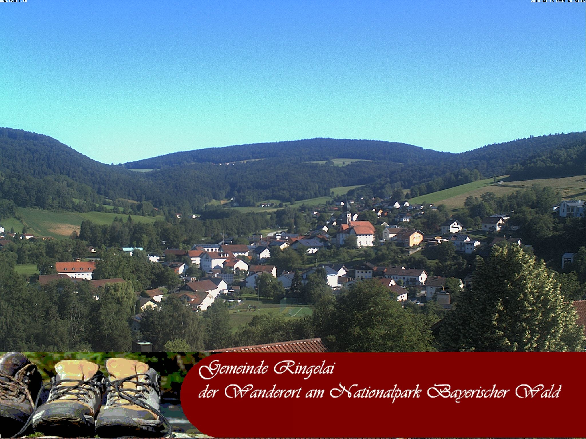 Archiv Foto Webcam Ringelai