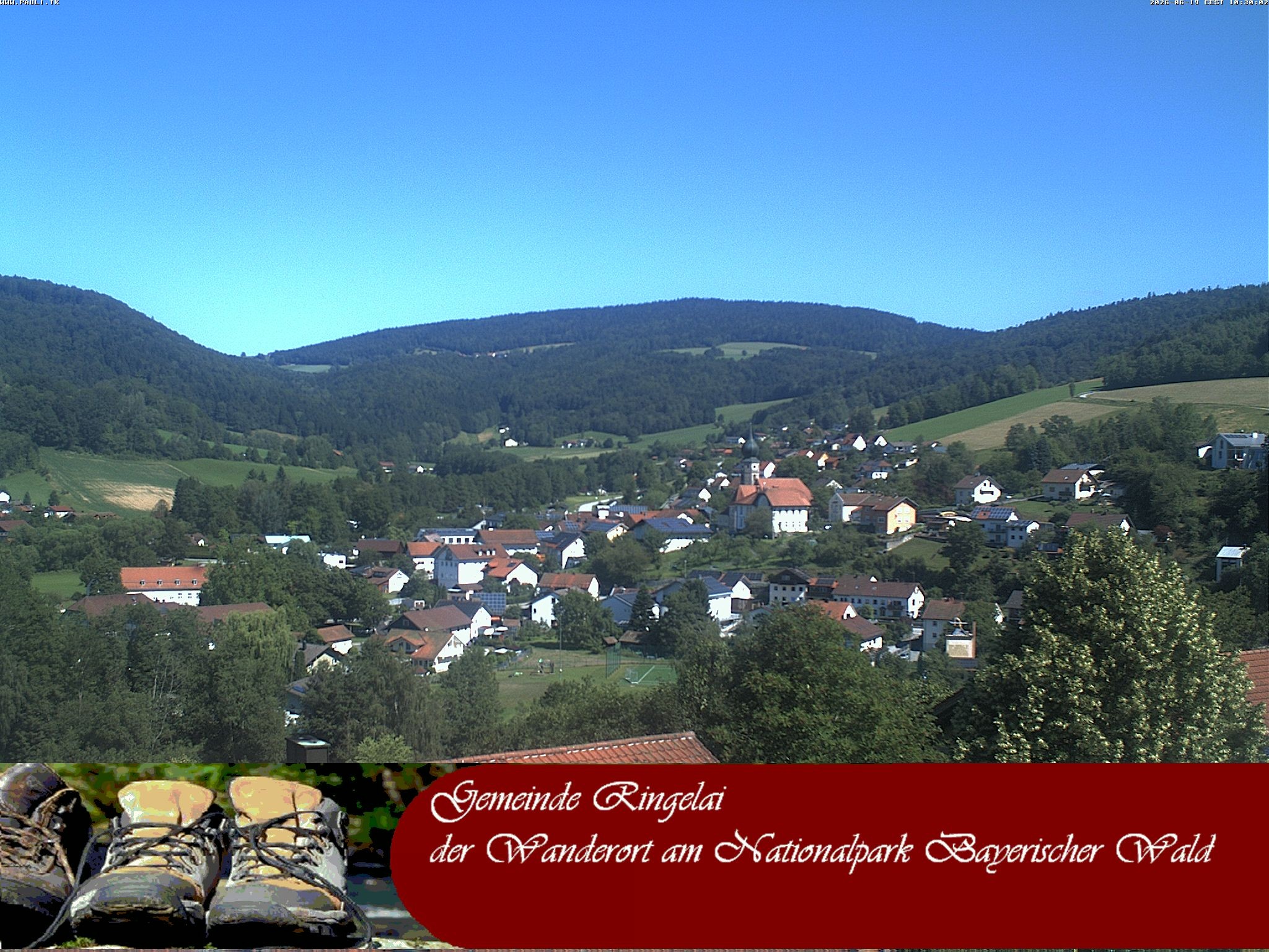Archiv Foto Webcam Ringelai