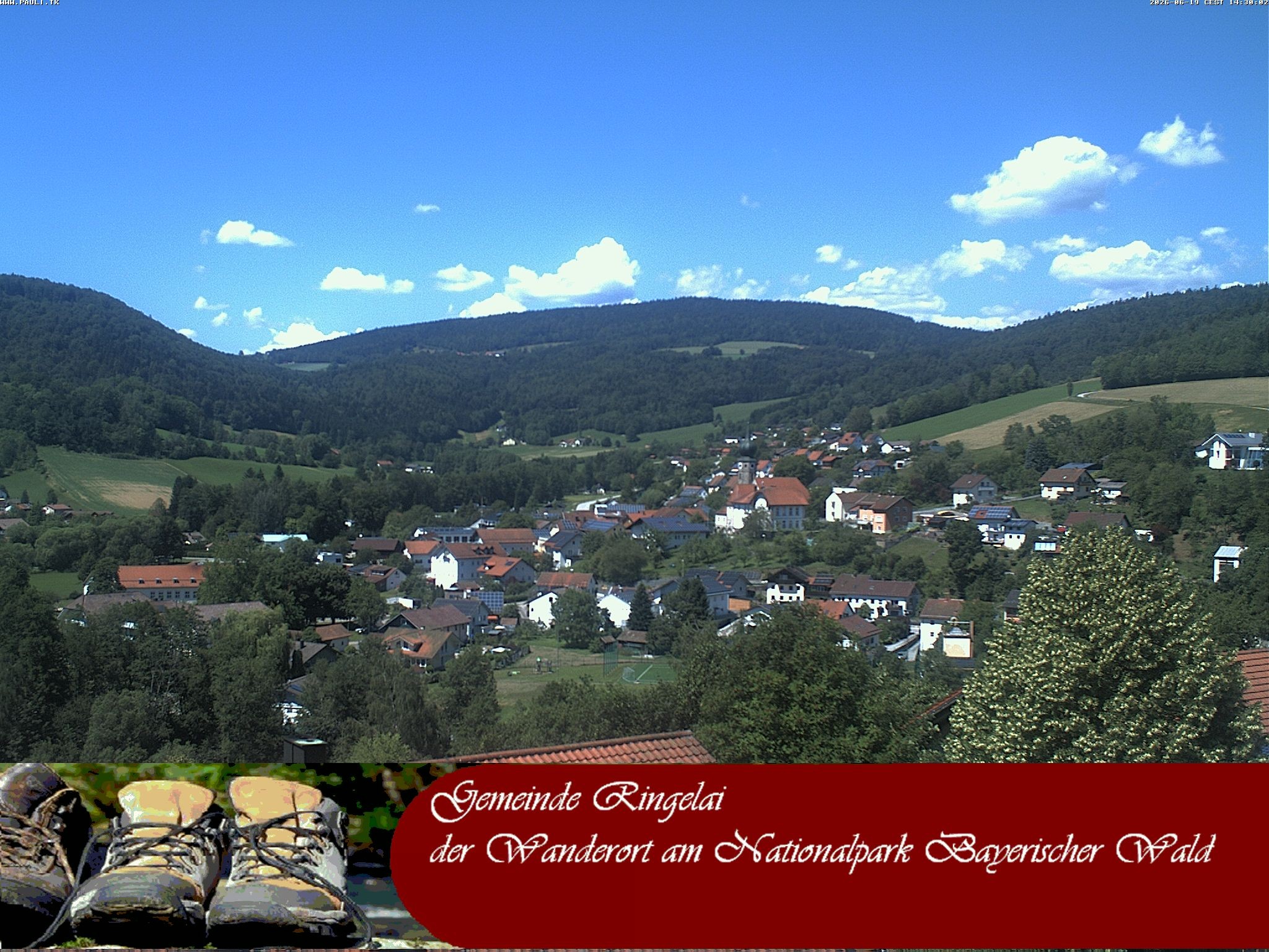 Archiv Foto Webcam Ringelai