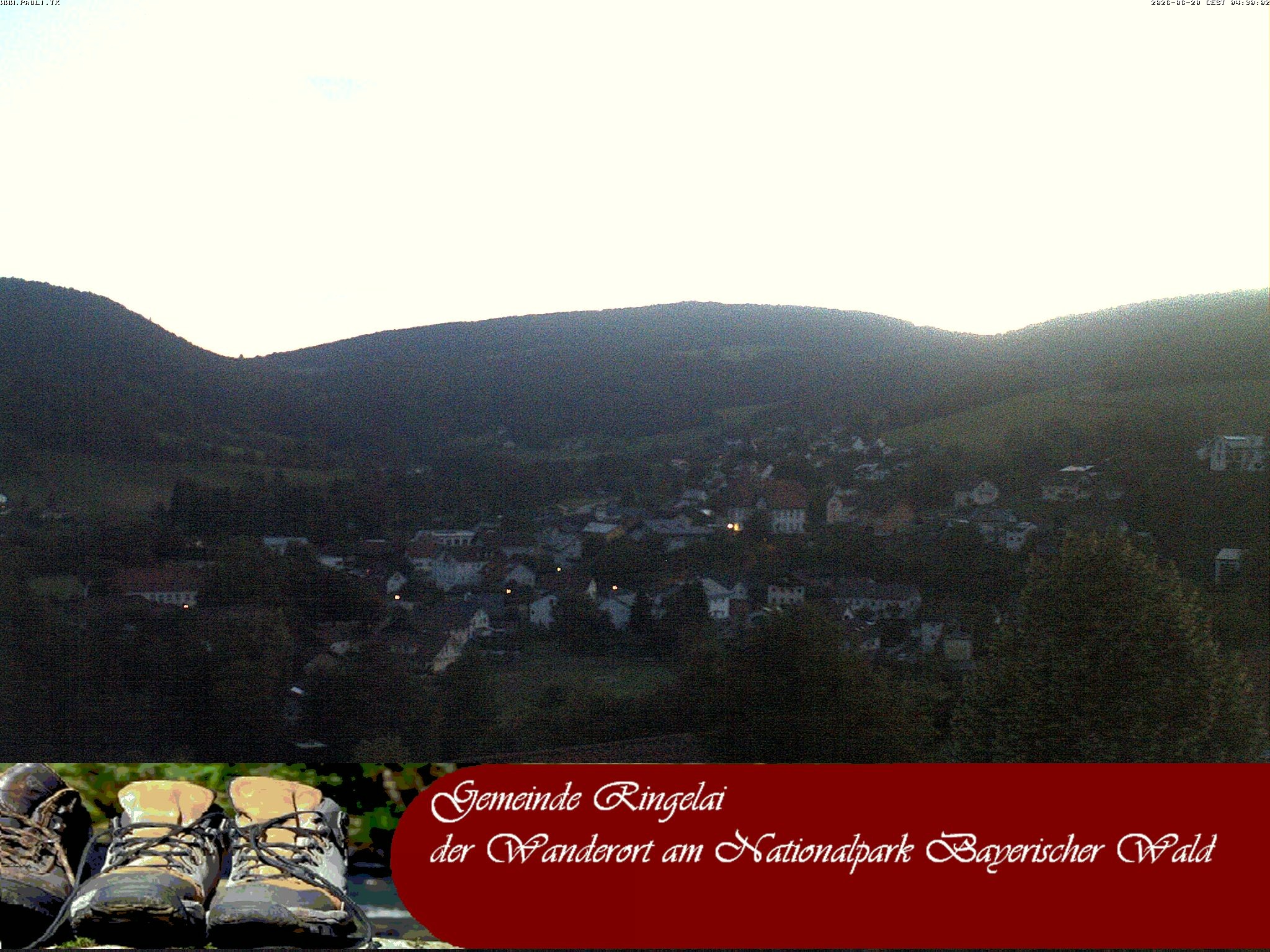 Archiv Foto Webcam Ringelai