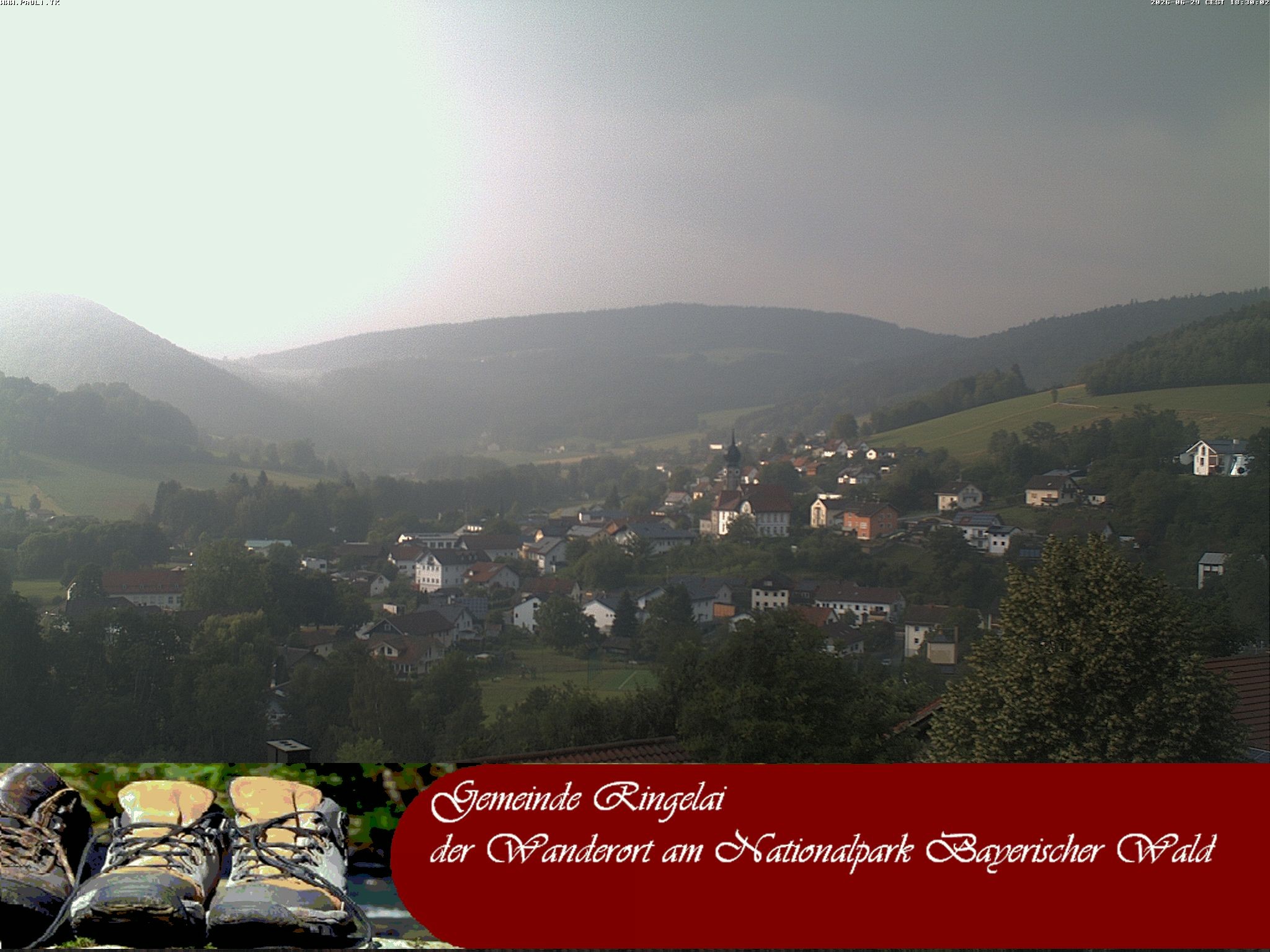 Archiv Foto Webcam Ringelai