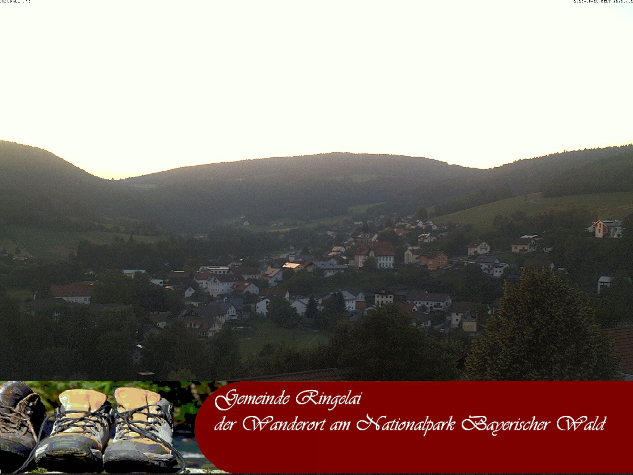 Archiv Foto Webcam Ringelai