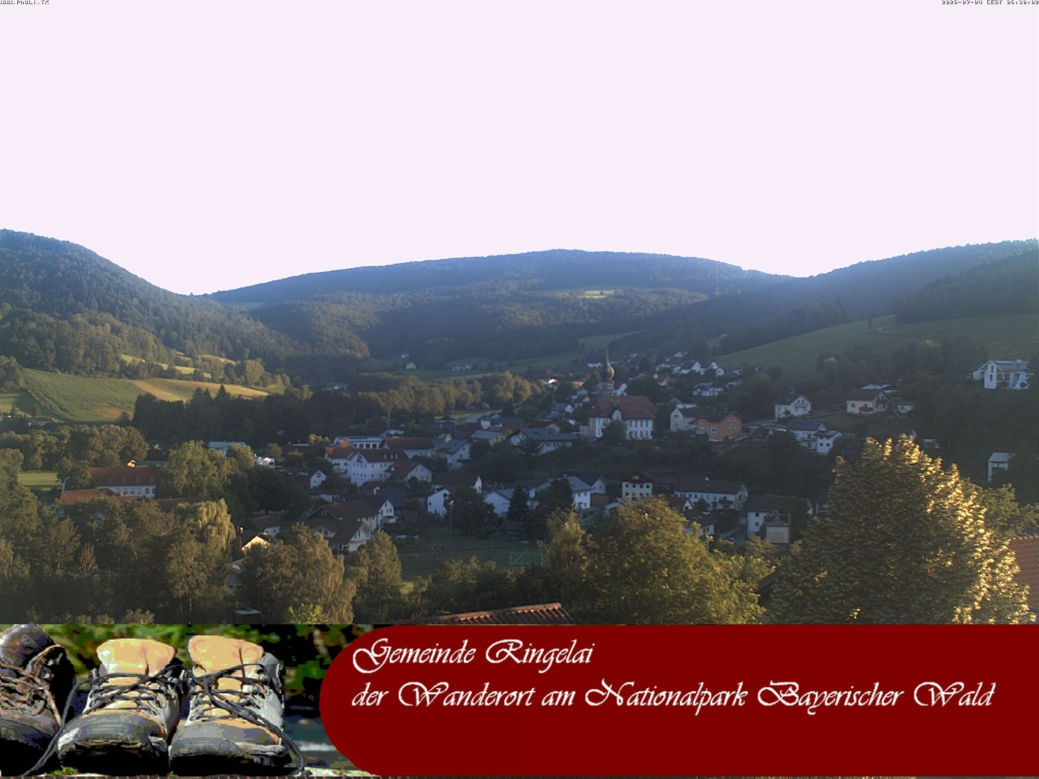 Archiv Foto Webcam Ringelai