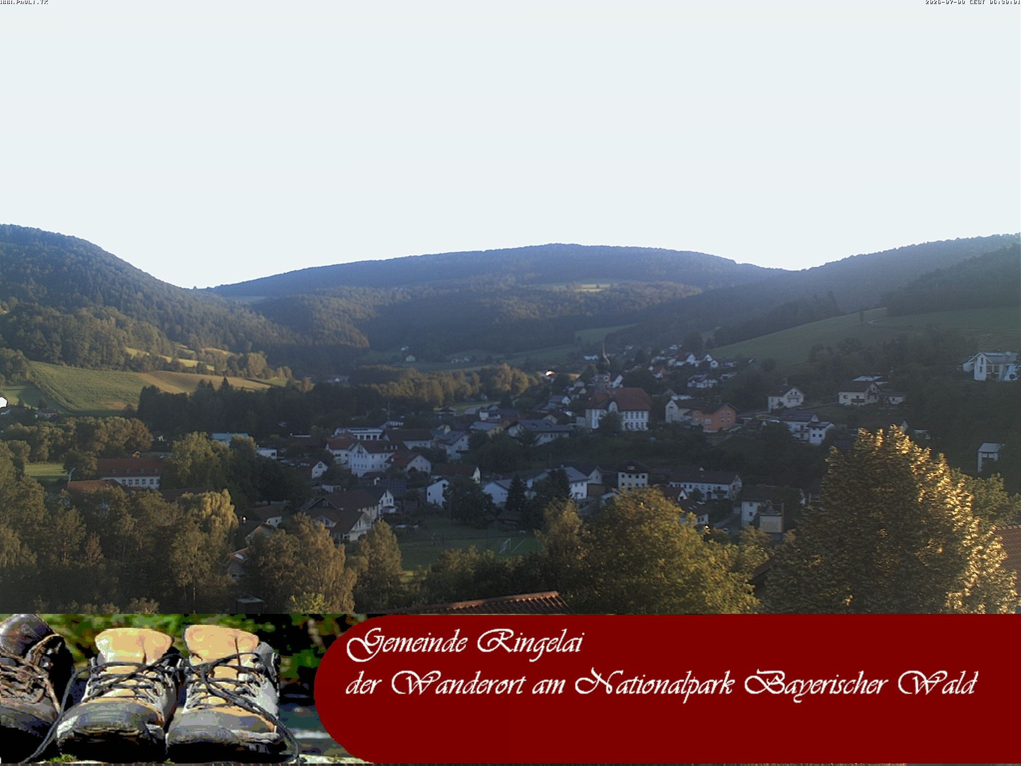 Archiv Foto Webcam Ringelai