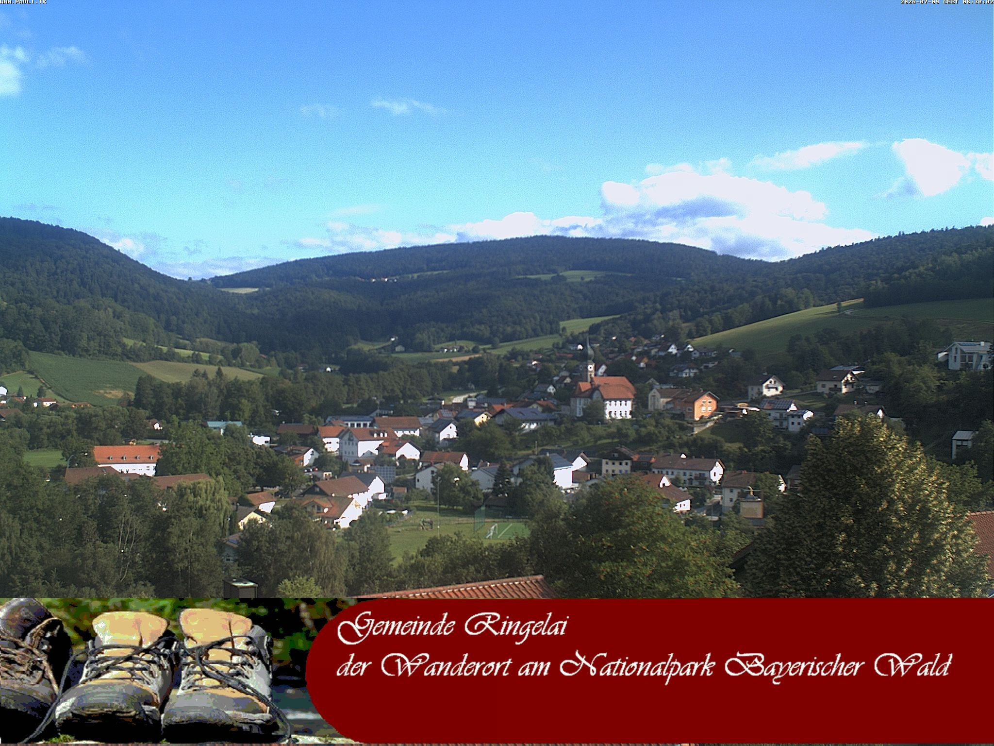 Archiv Foto Webcam Ringelai