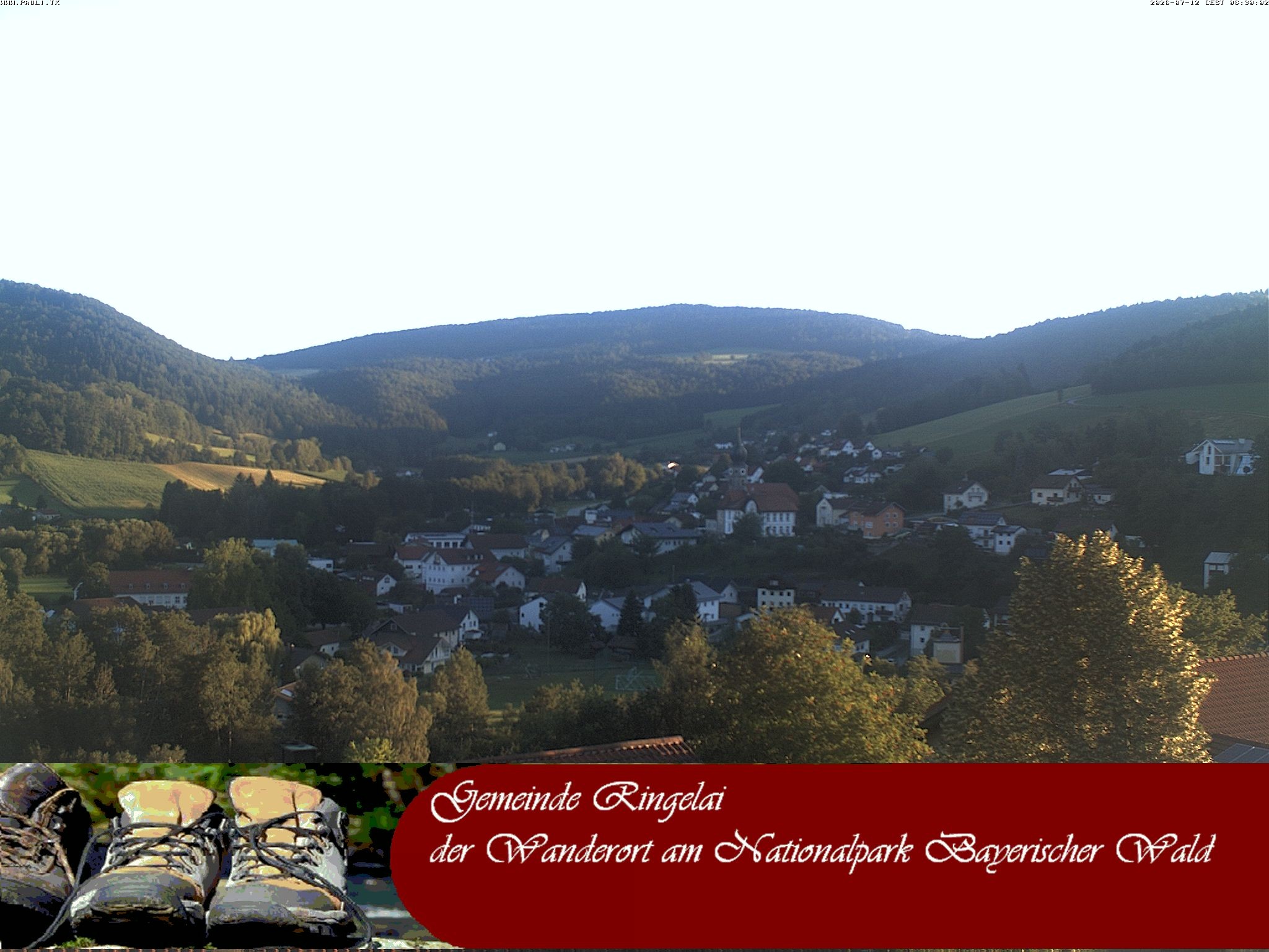 Archiv Foto Webcam Ringelai
