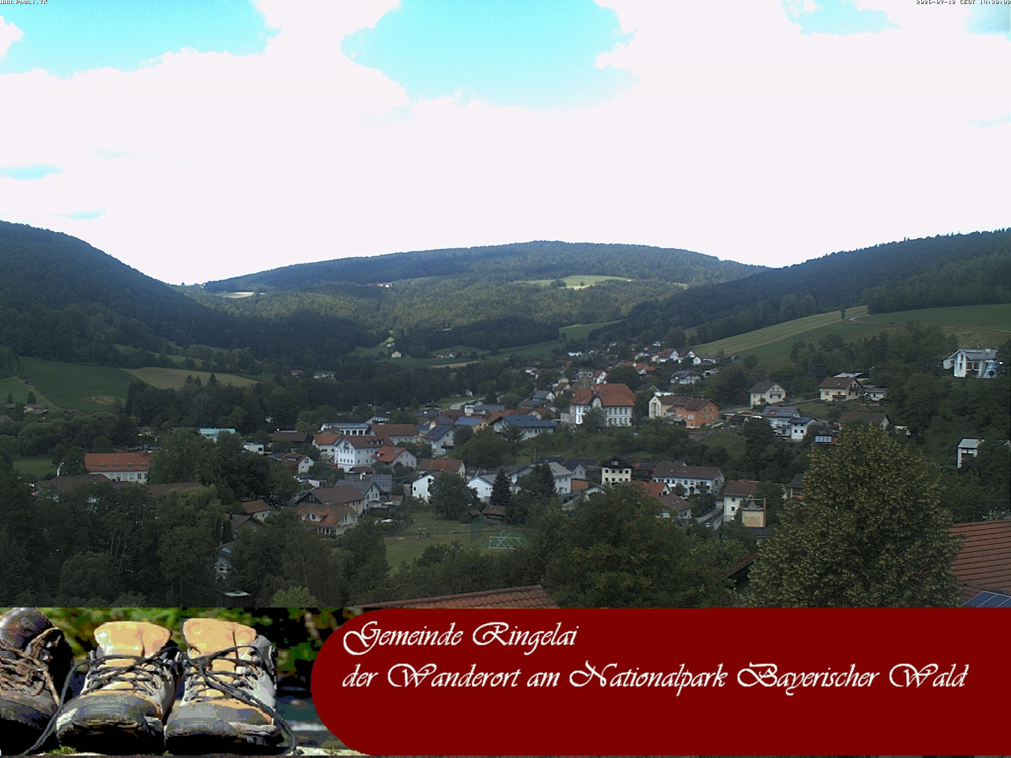 Archiv Foto Webcam Ringelai