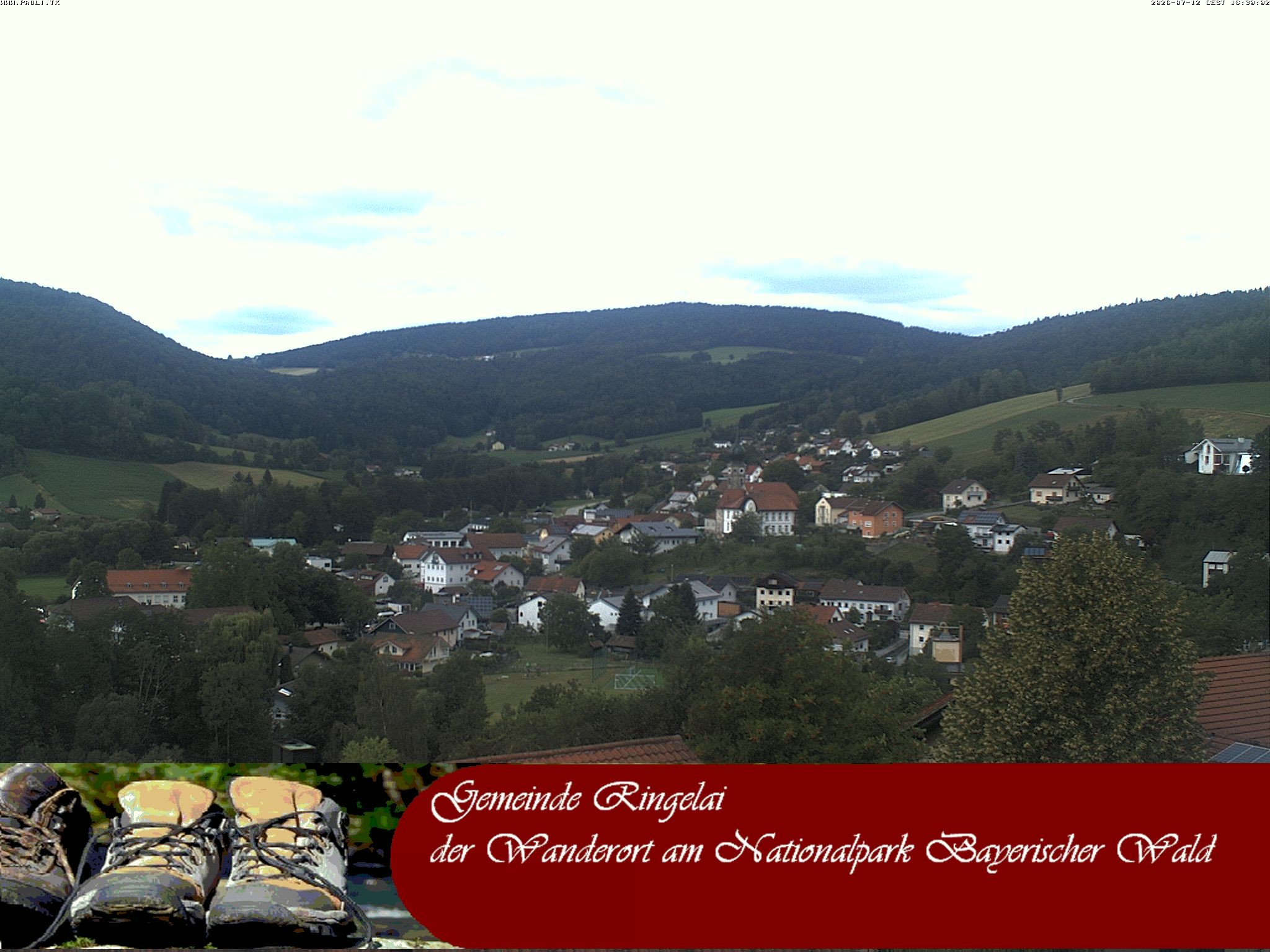 Archiv Foto Webcam Ringelai