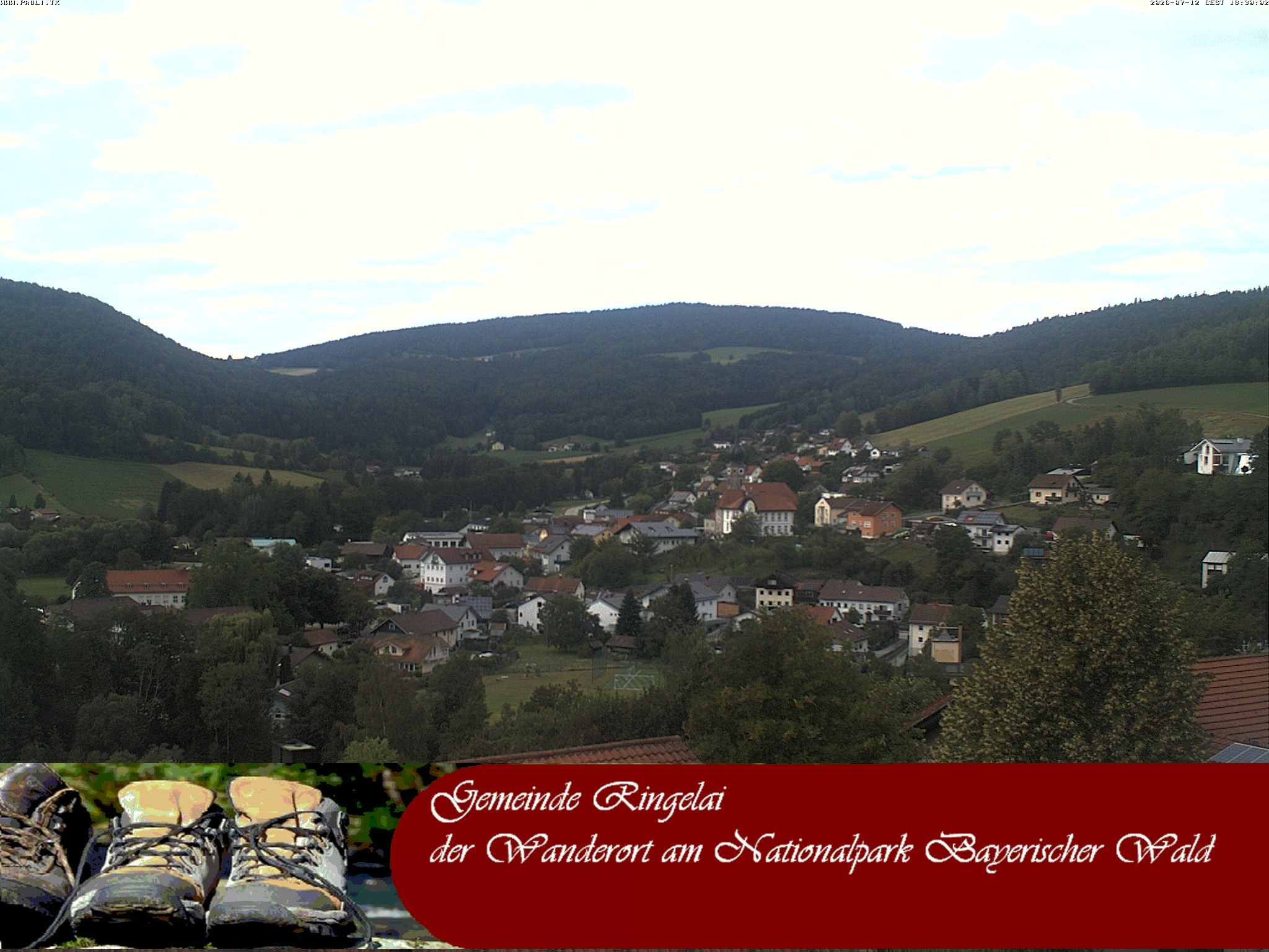 Archiv Foto Webcam Ringelai