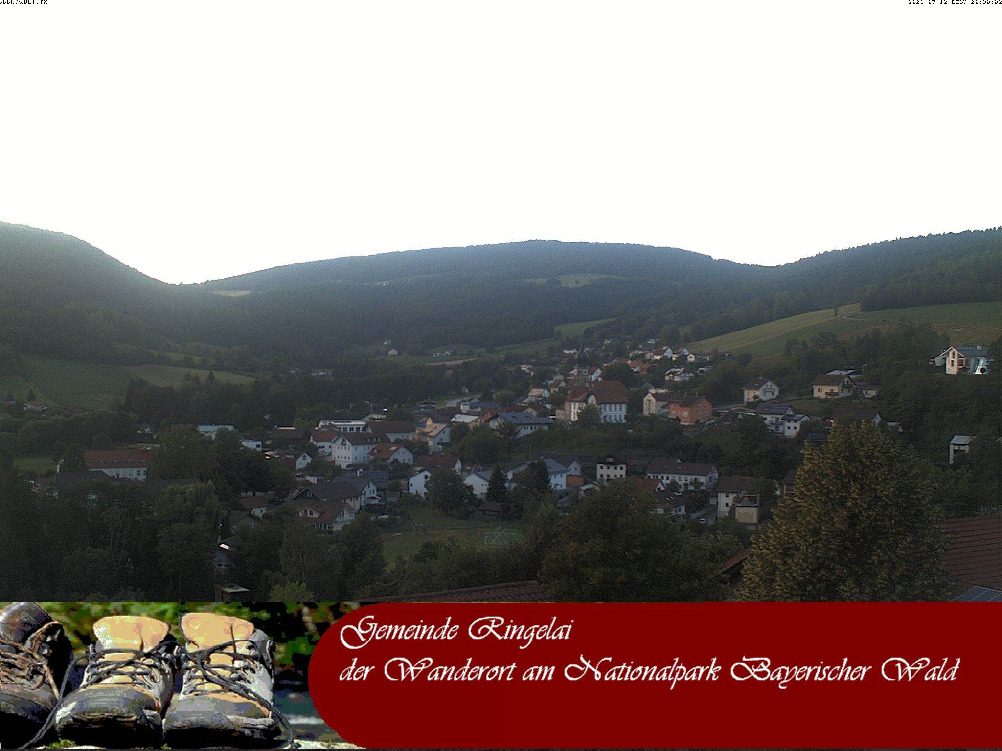 Archiv Foto Webcam Ringelai