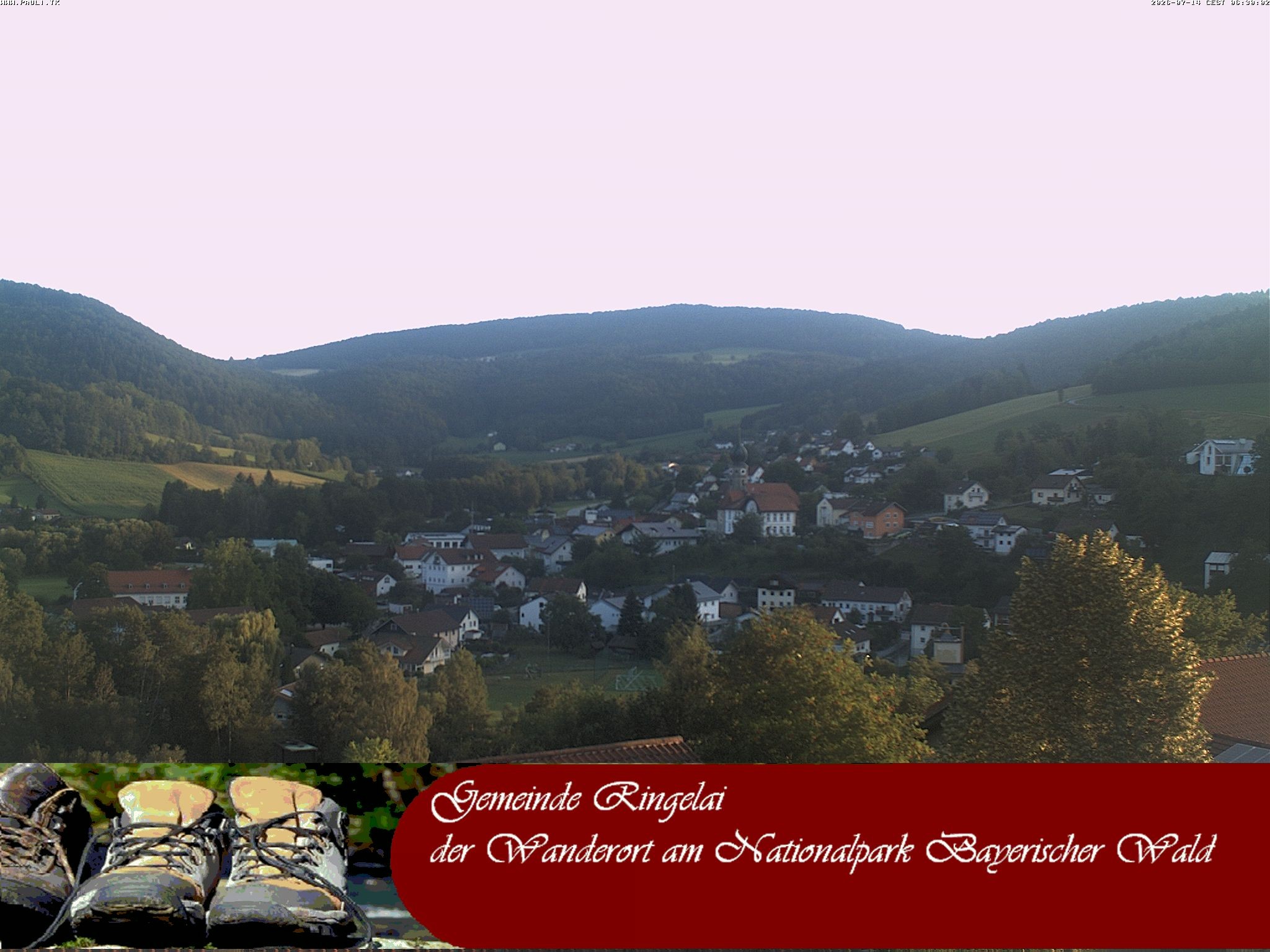 Archiv Foto Webcam Ringelai