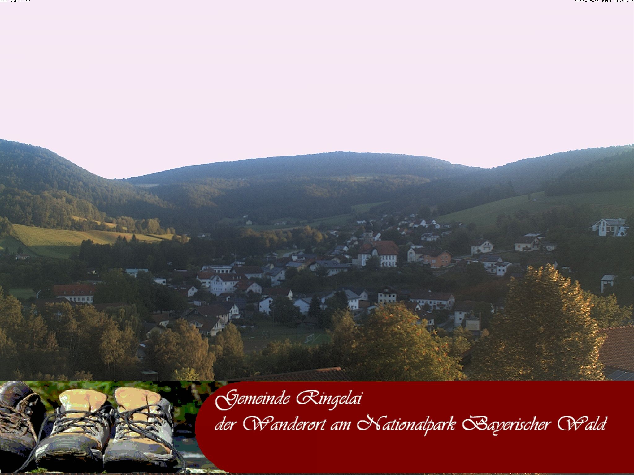 Archiv Foto Webcam Ringelai