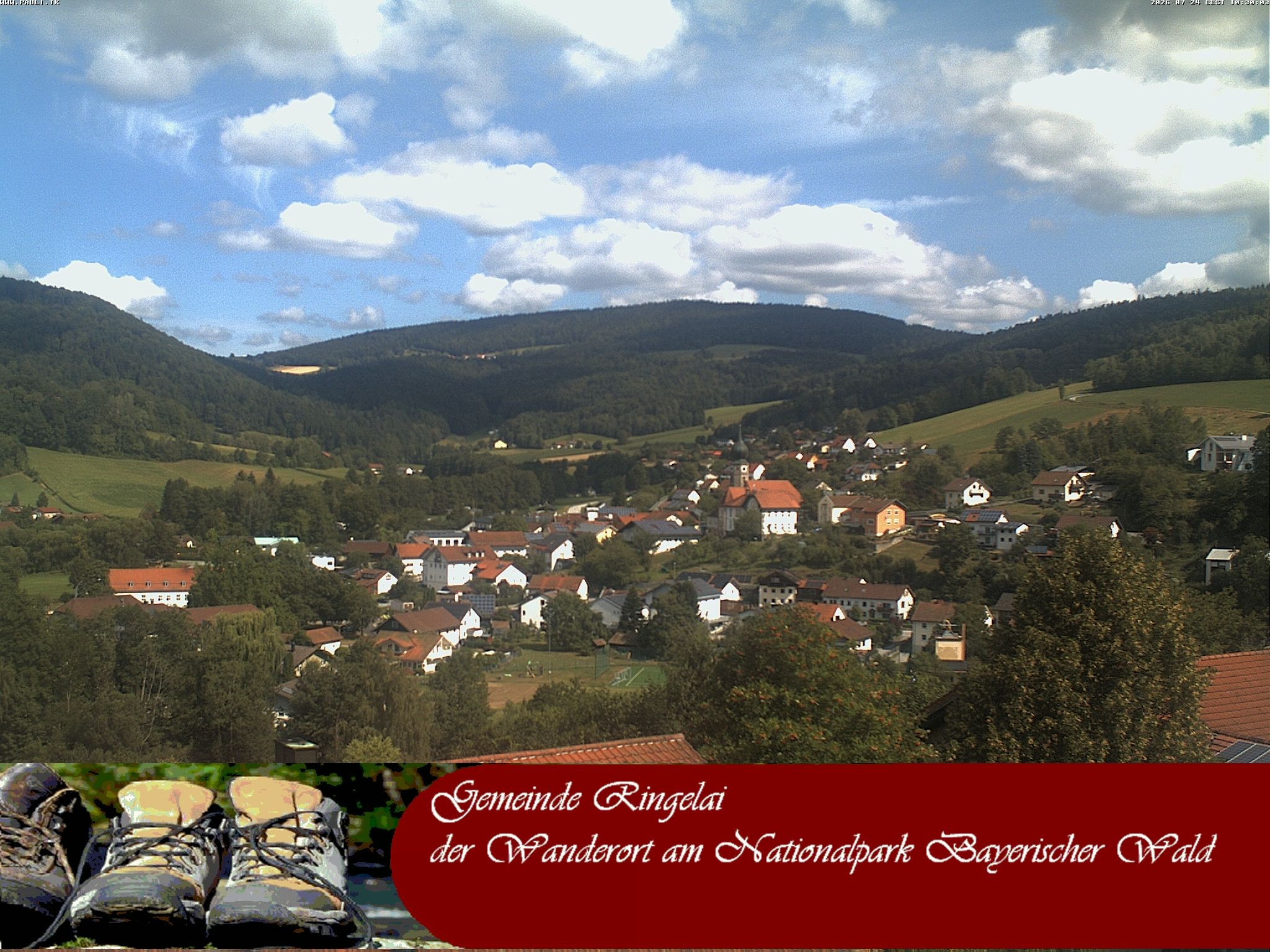 Archiv Foto Webcam Ringelai