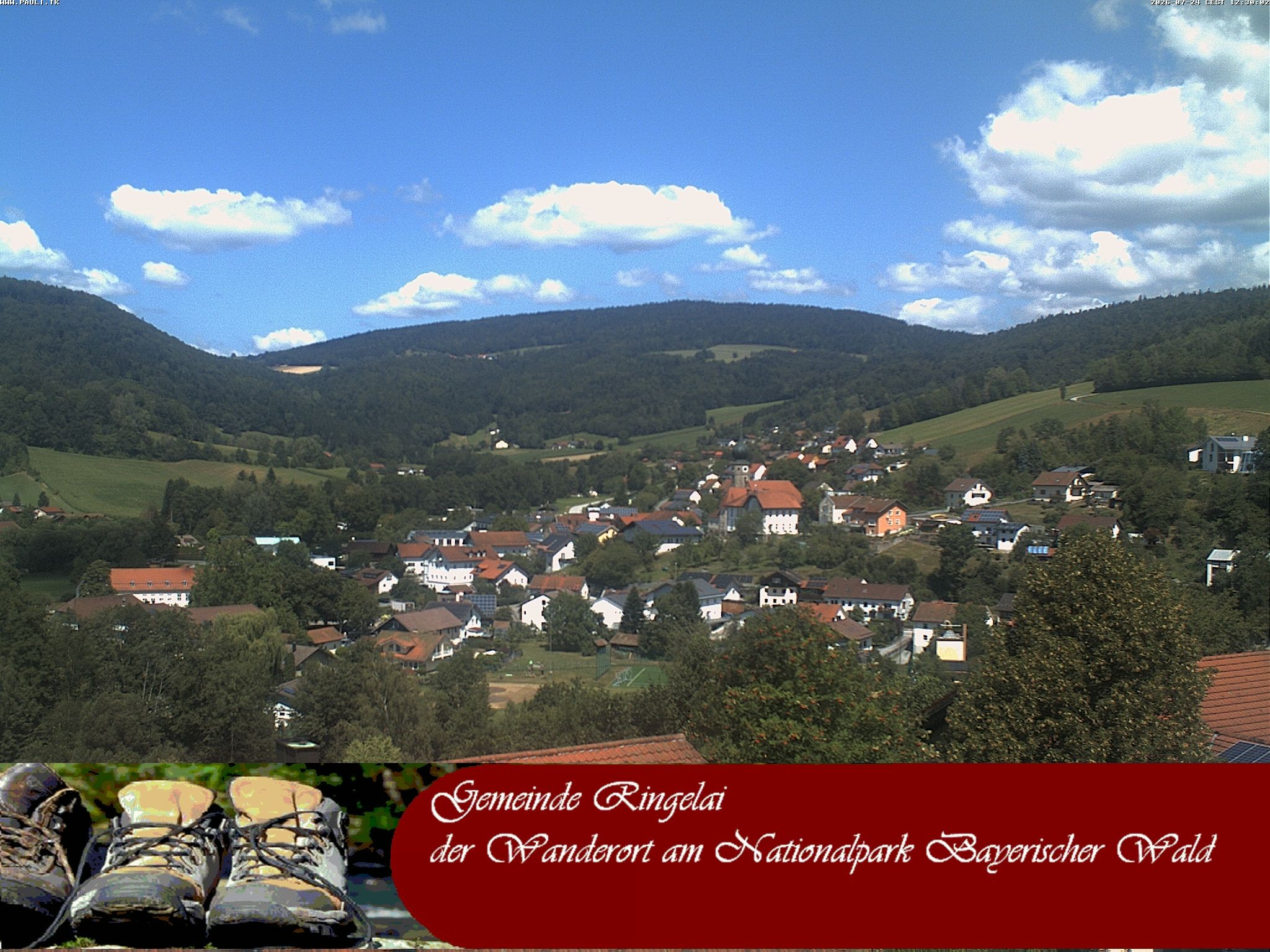 Archiv Foto Webcam Ringelai