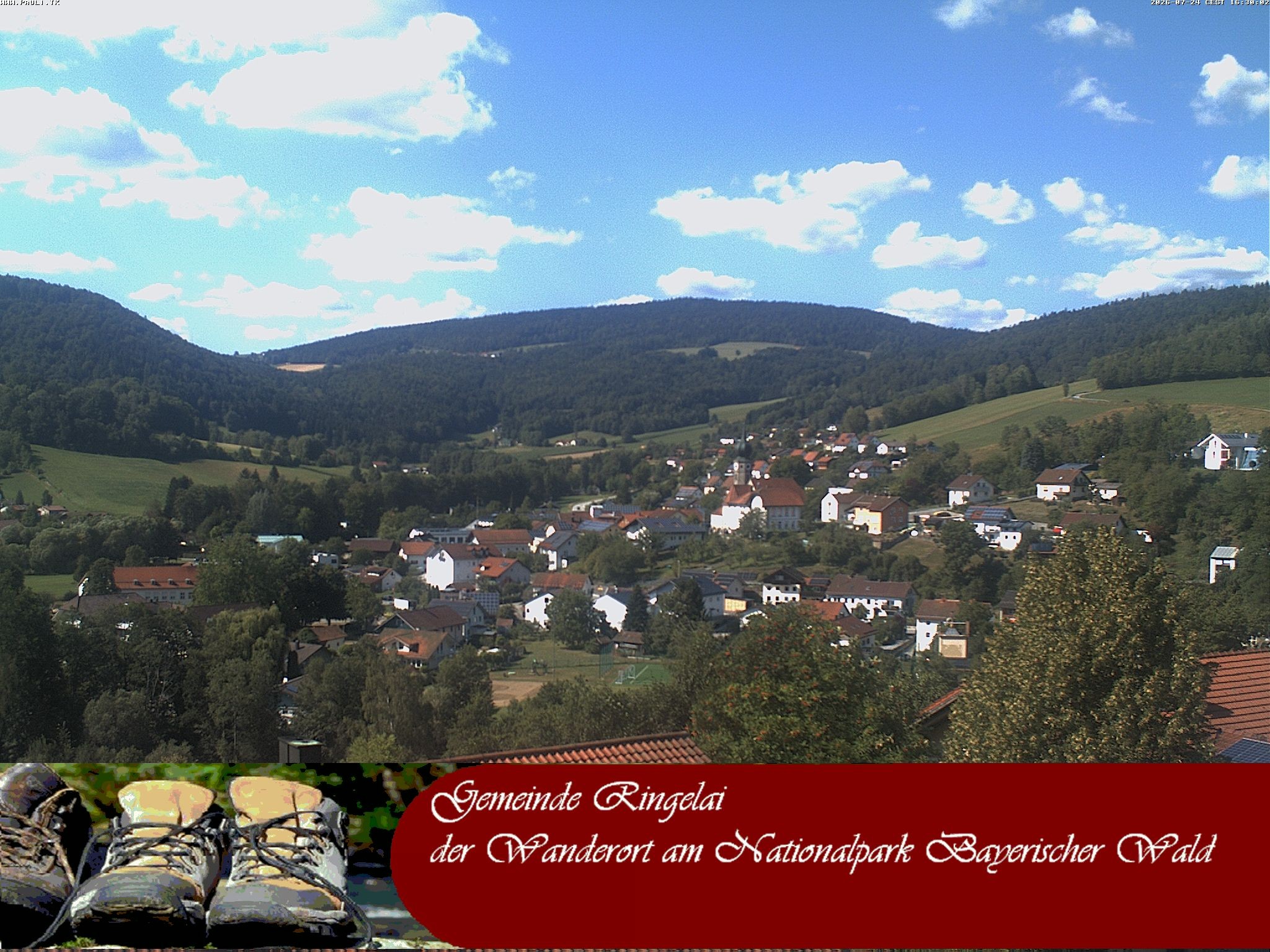 Archiv Foto Webcam Ringelai