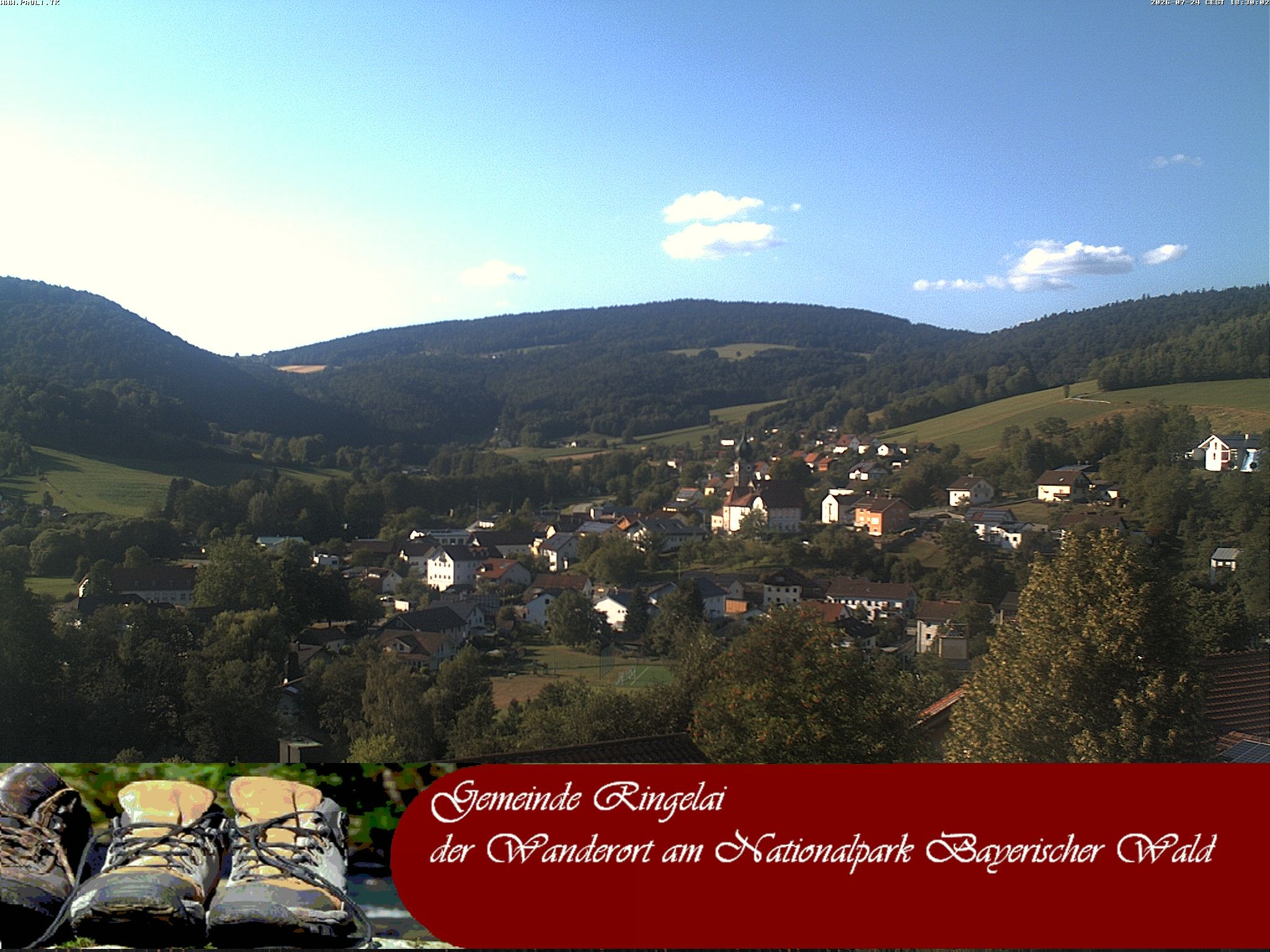 Archiv Foto Webcam Ringelai