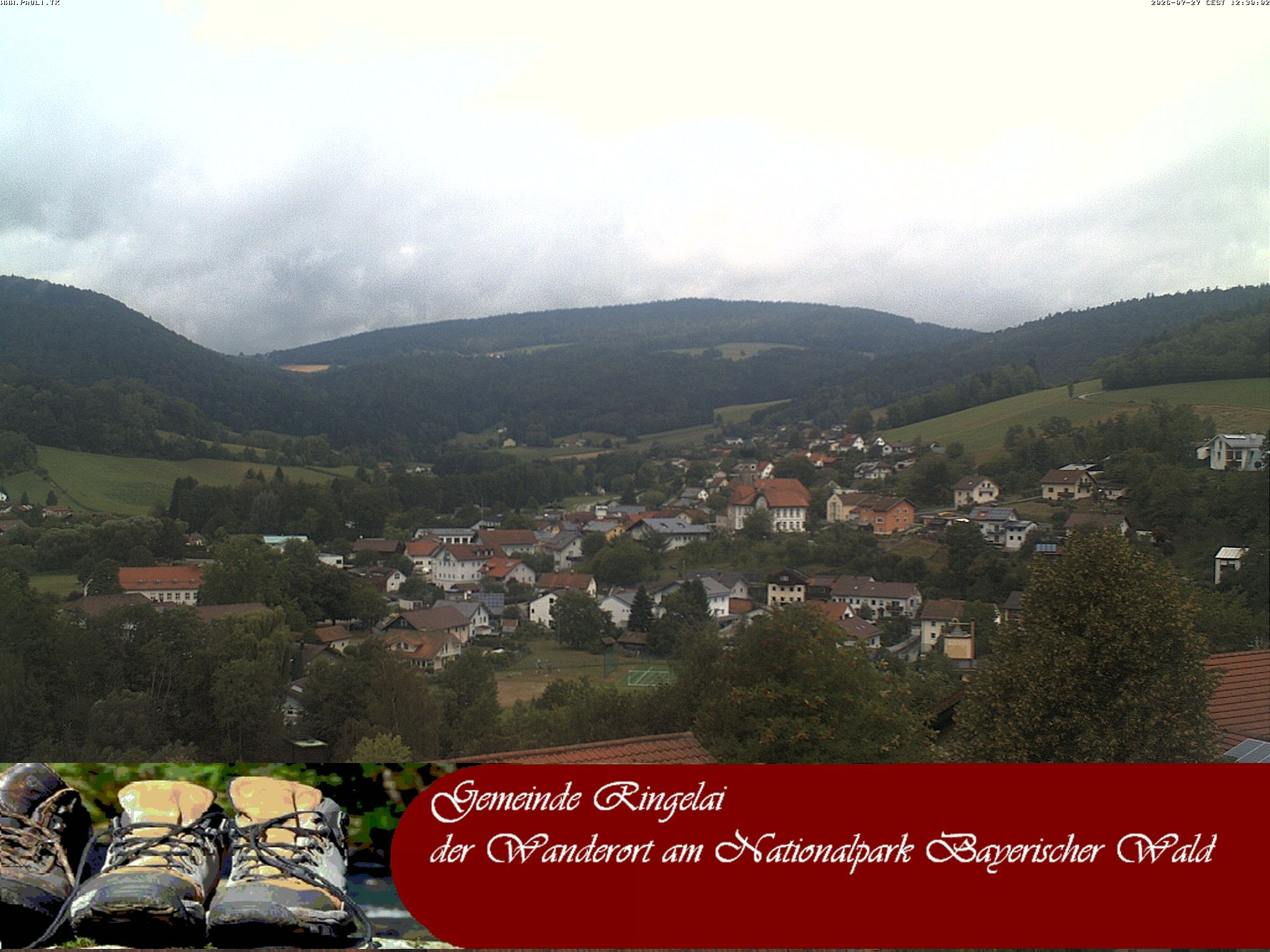 Archiv Foto Webcam Ringelai
