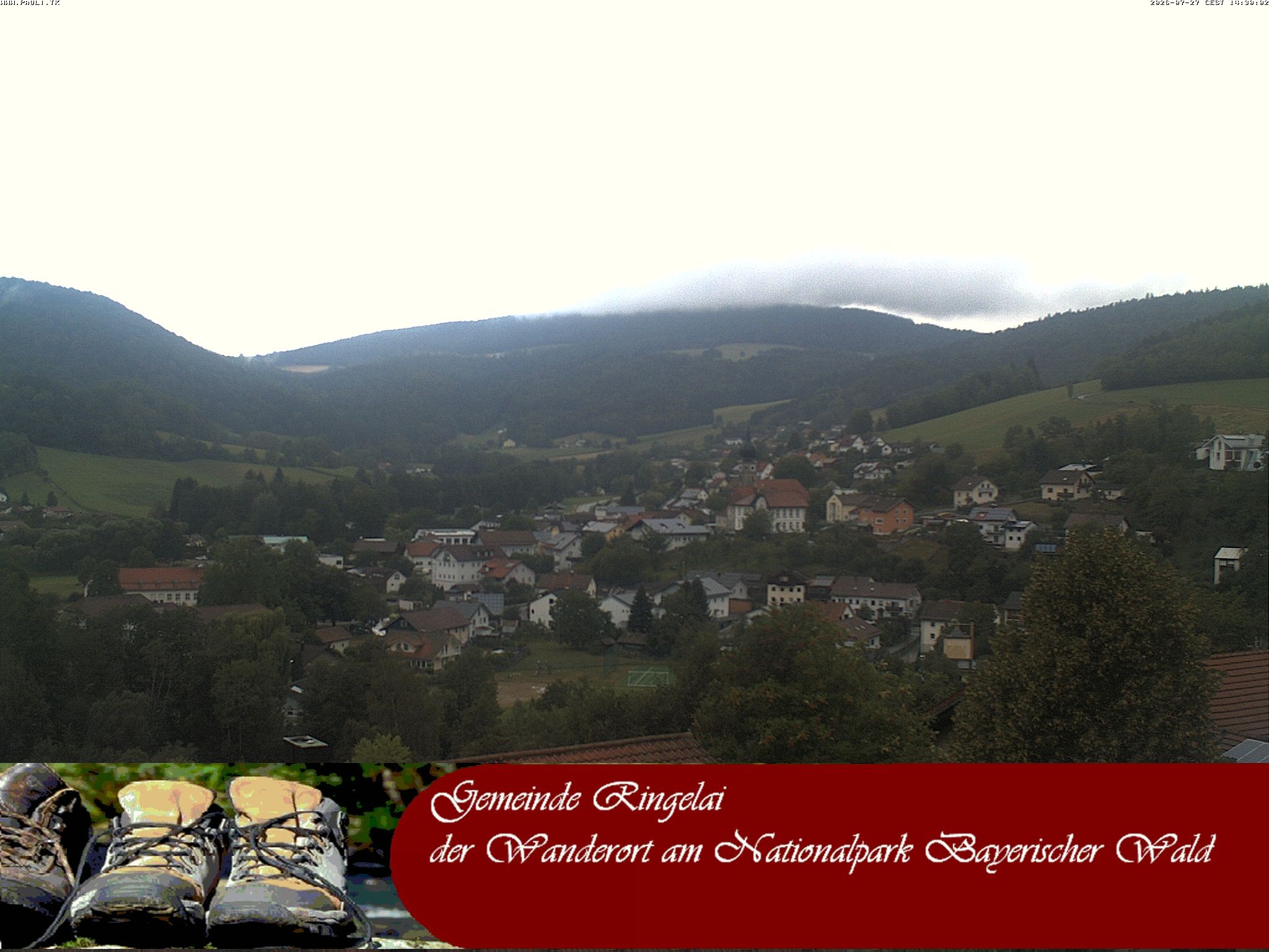 Archiv Foto Webcam Ringelai
