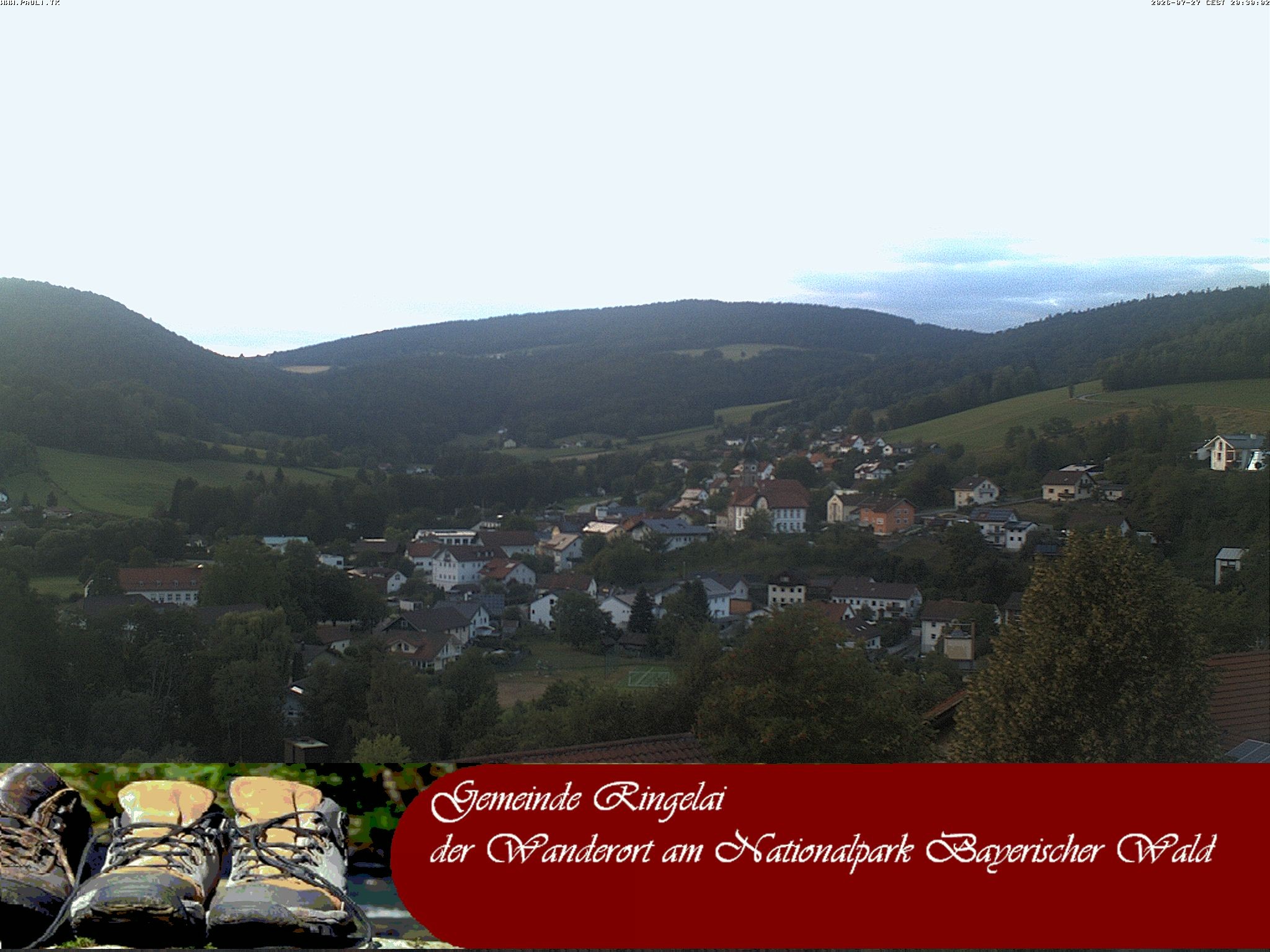 Archiv Foto Webcam Ringelai