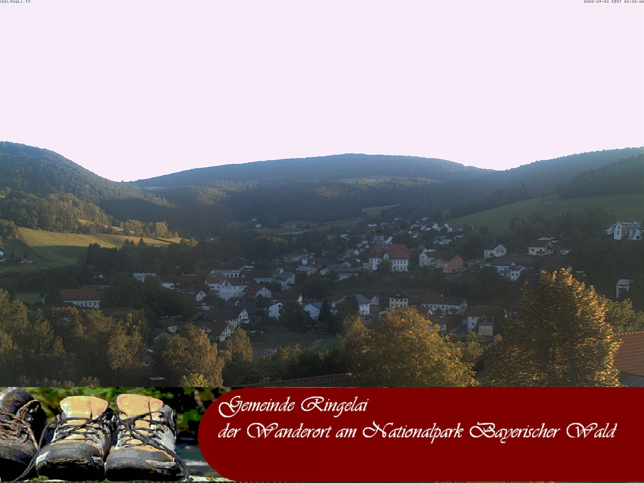 Archiv Foto Webcam Ringelai