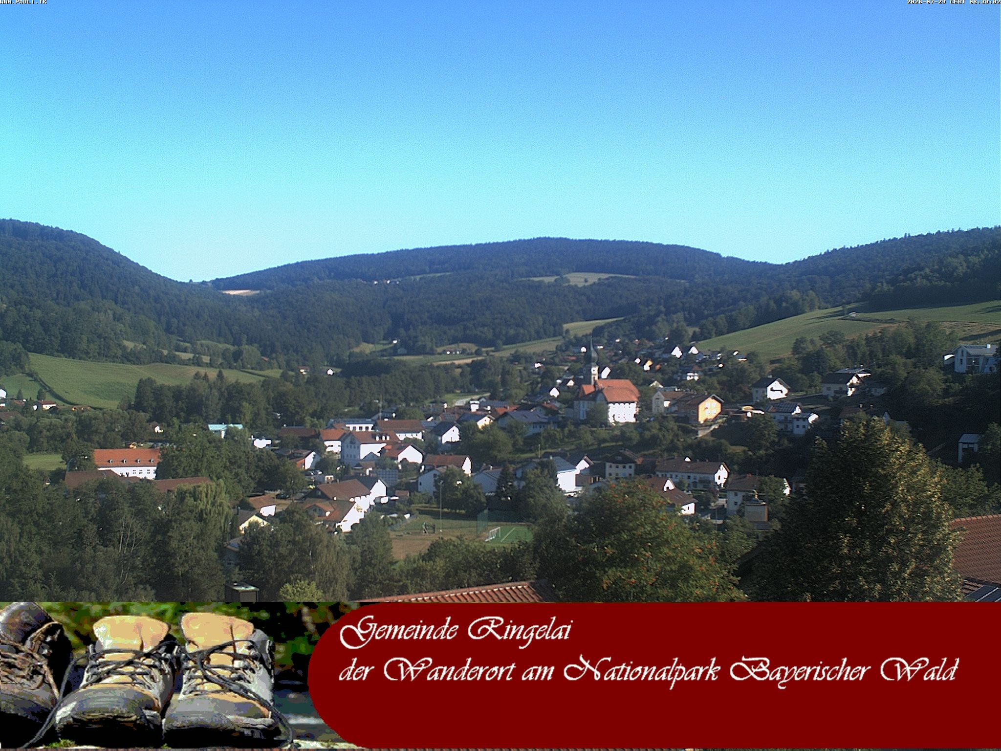 Archiv Foto Webcam Ringelai