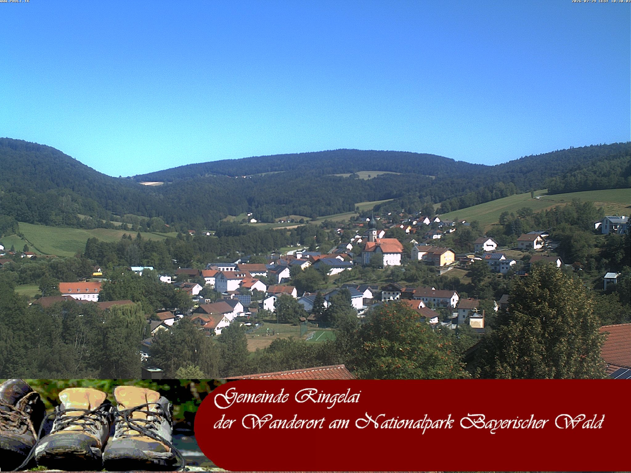 Archiv Foto Webcam Ringelai