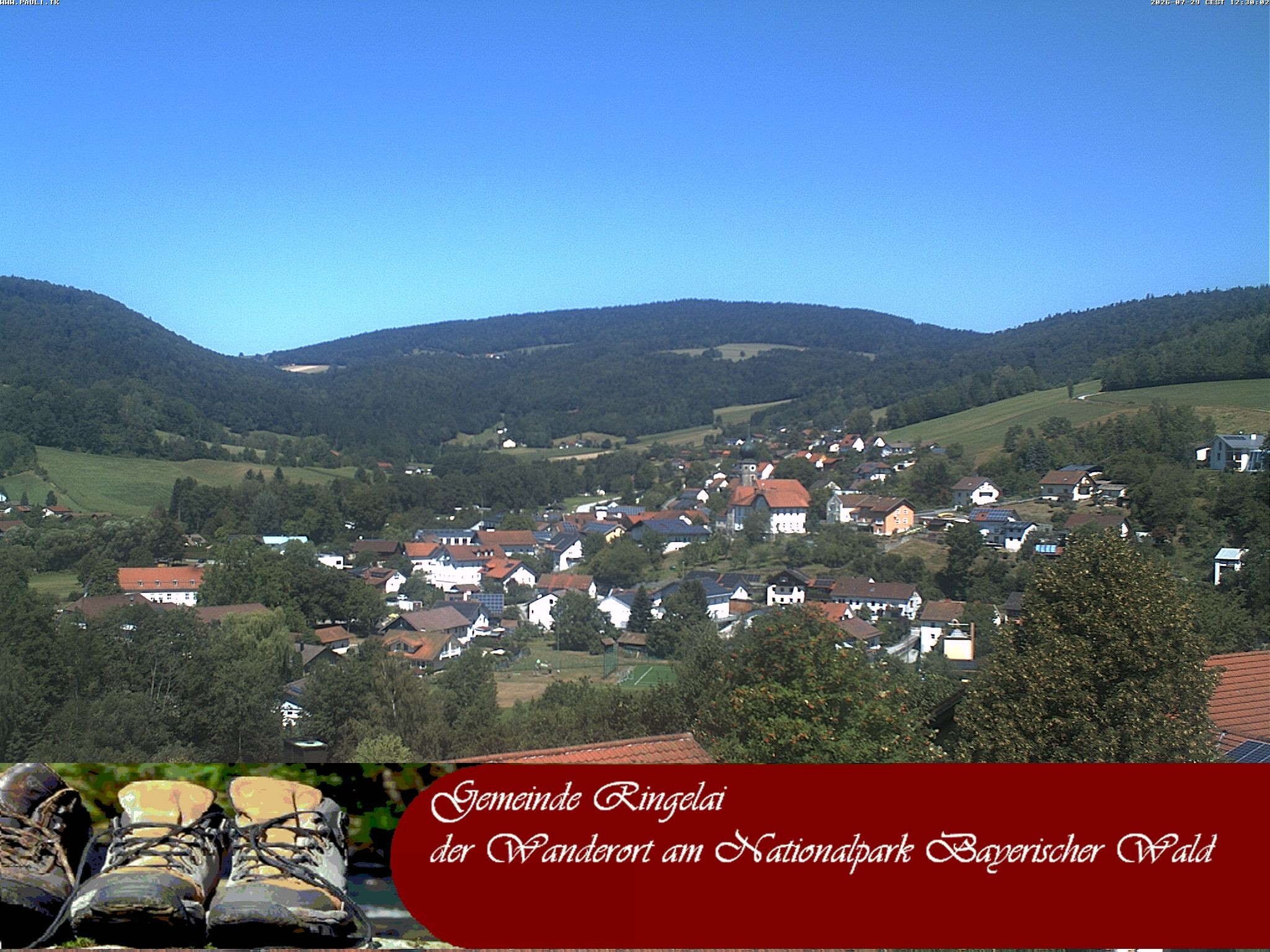 Archiv Foto Webcam Ringelai