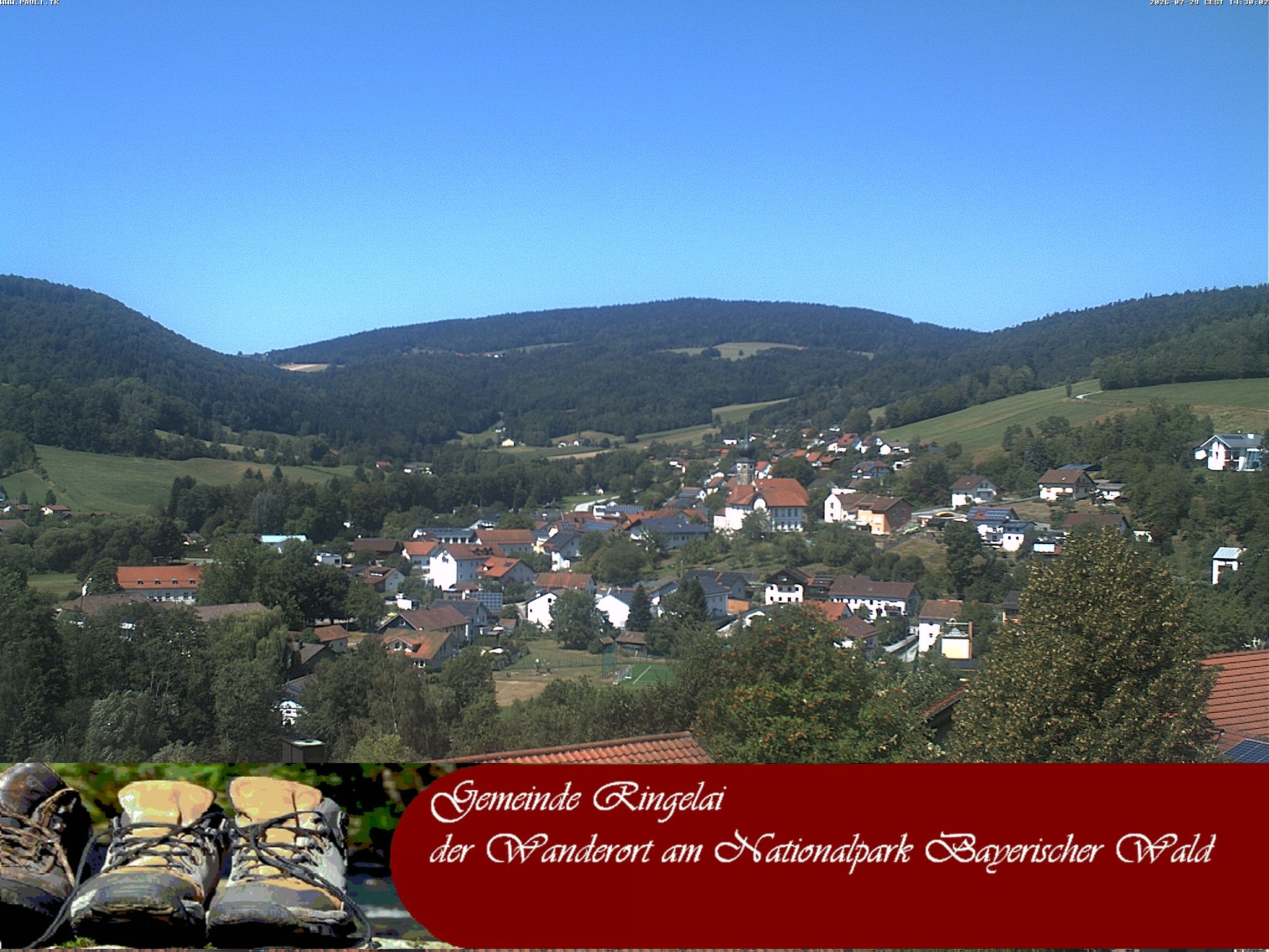 Archiv Foto Webcam Ringelai