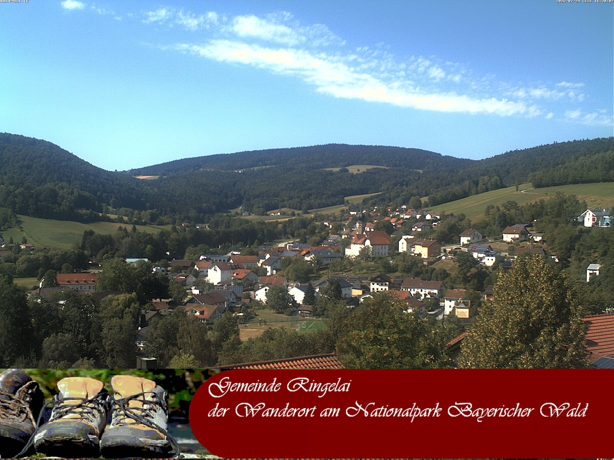 Archiv Foto Webcam Ringelai