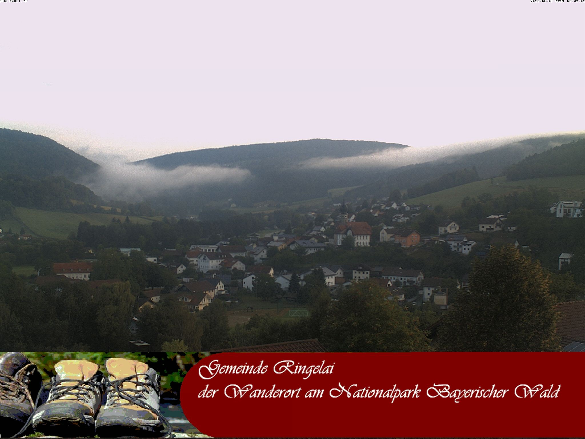Archiv Foto Webcam Ringelai