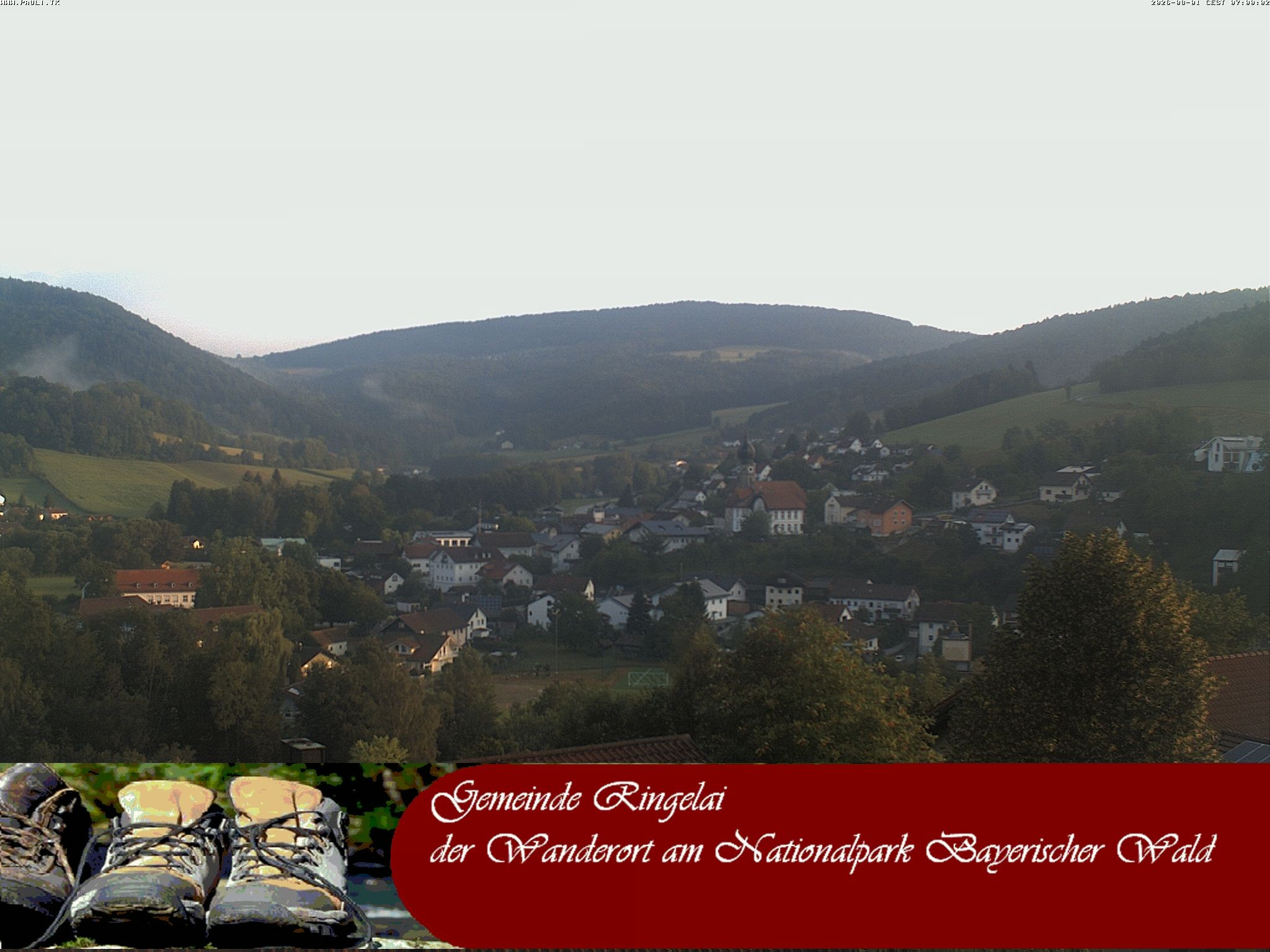 Archiv Foto Webcam Ringelai