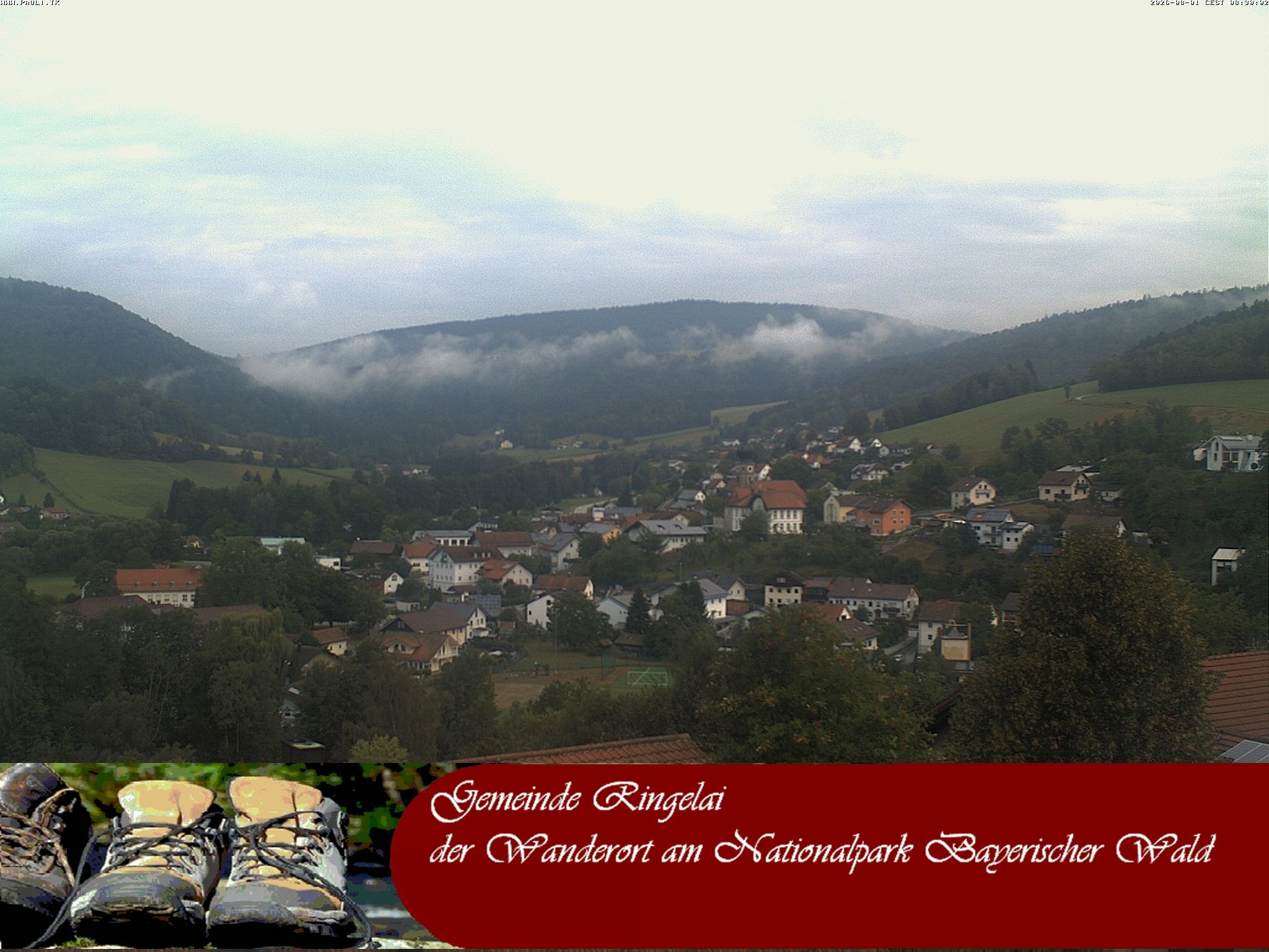Archiv Foto Webcam Ringelai