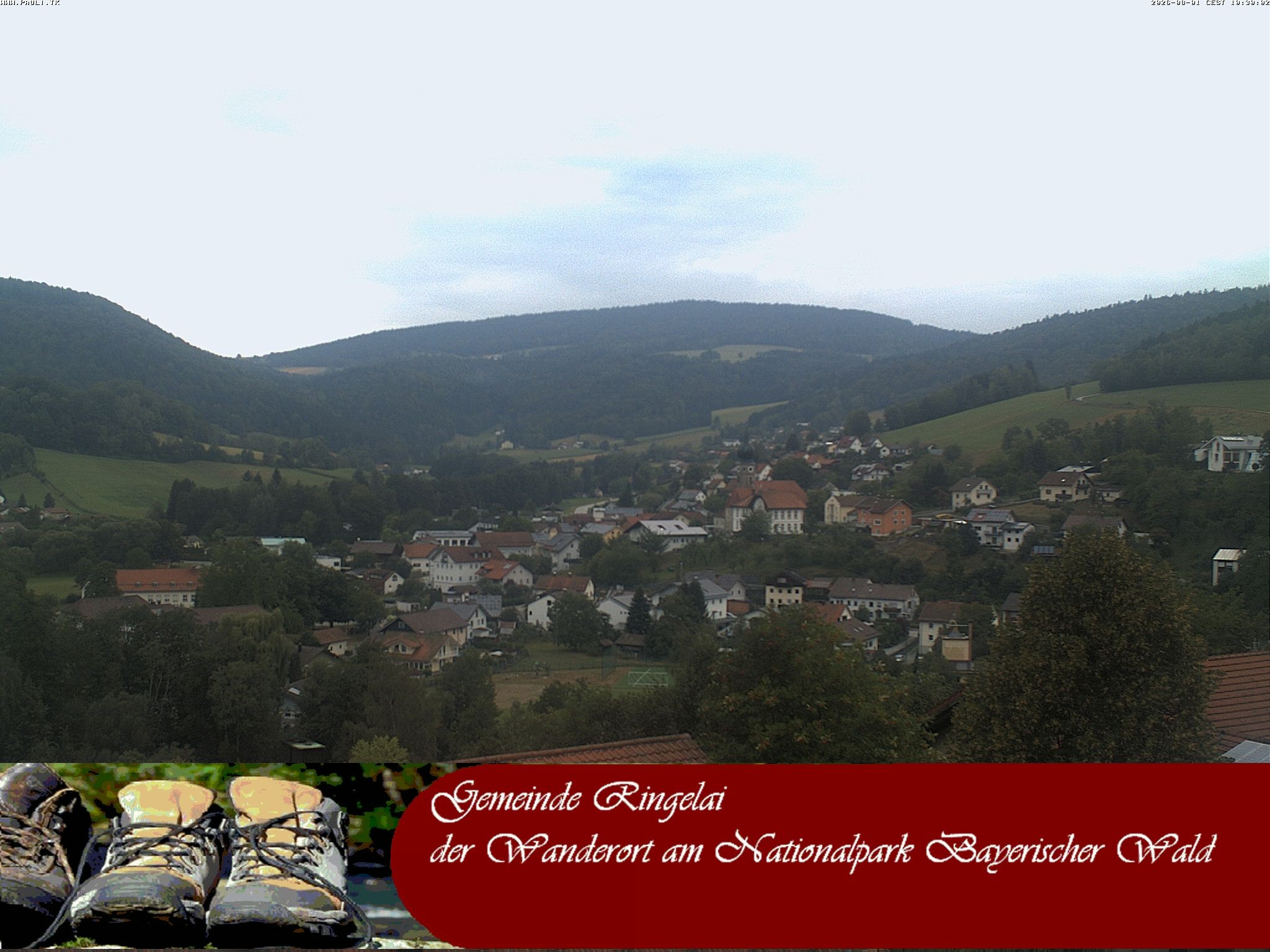 Archiv Foto Webcam Ringelai