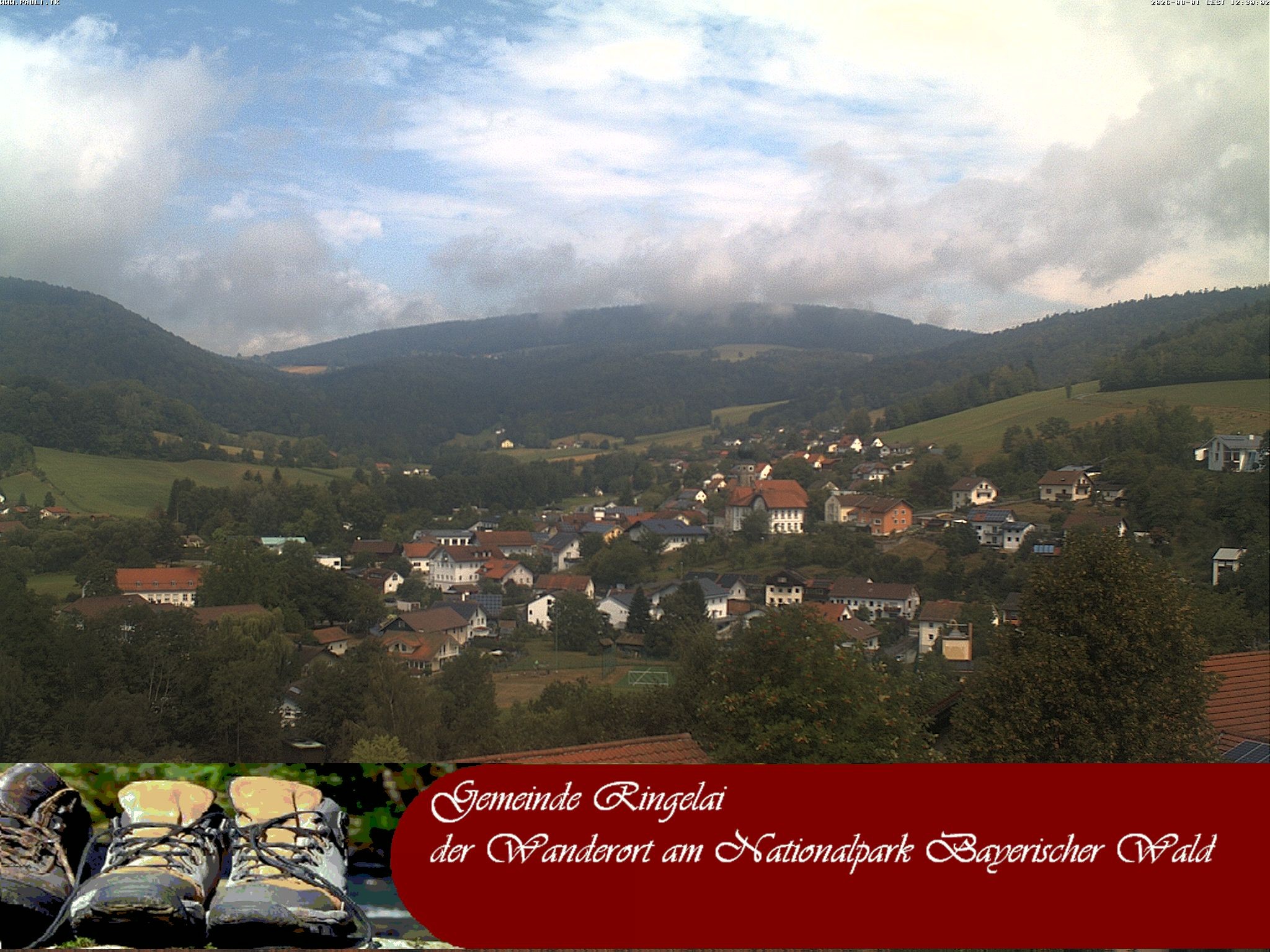 Archiv Foto Webcam Ringelai