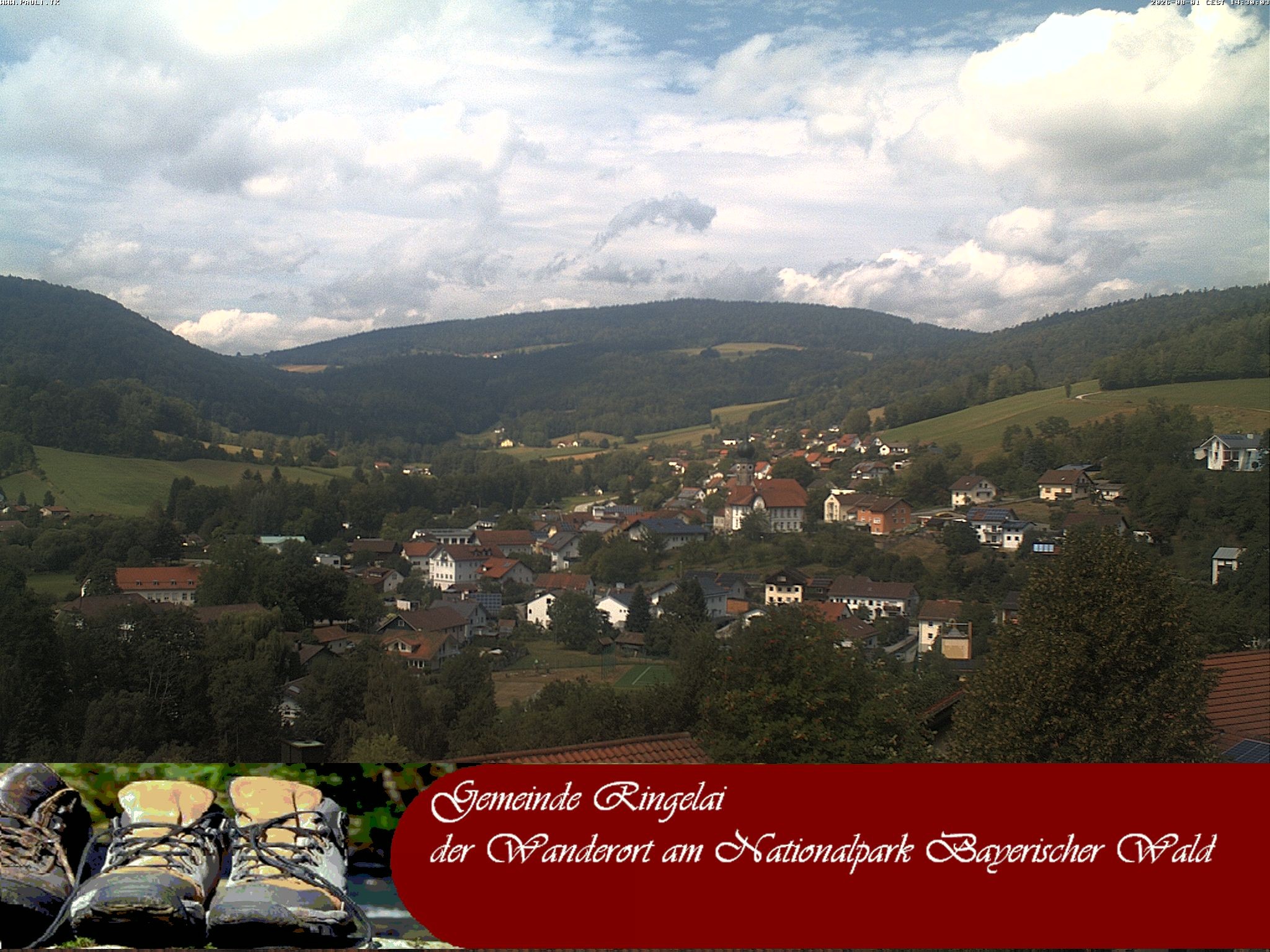 Archiv Foto Webcam Ringelai
