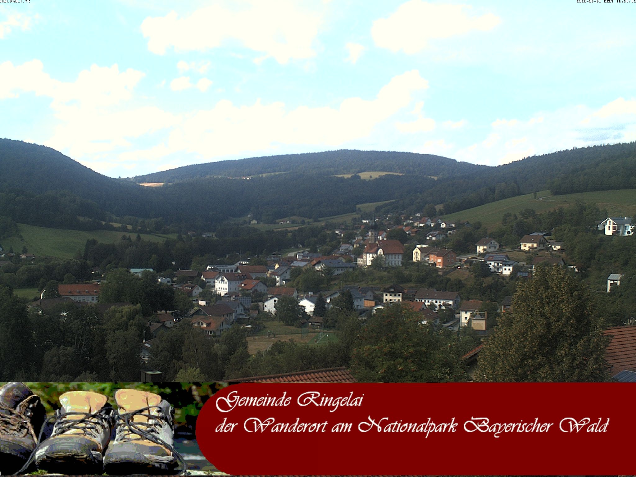 Archiv Foto Webcam Ringelai