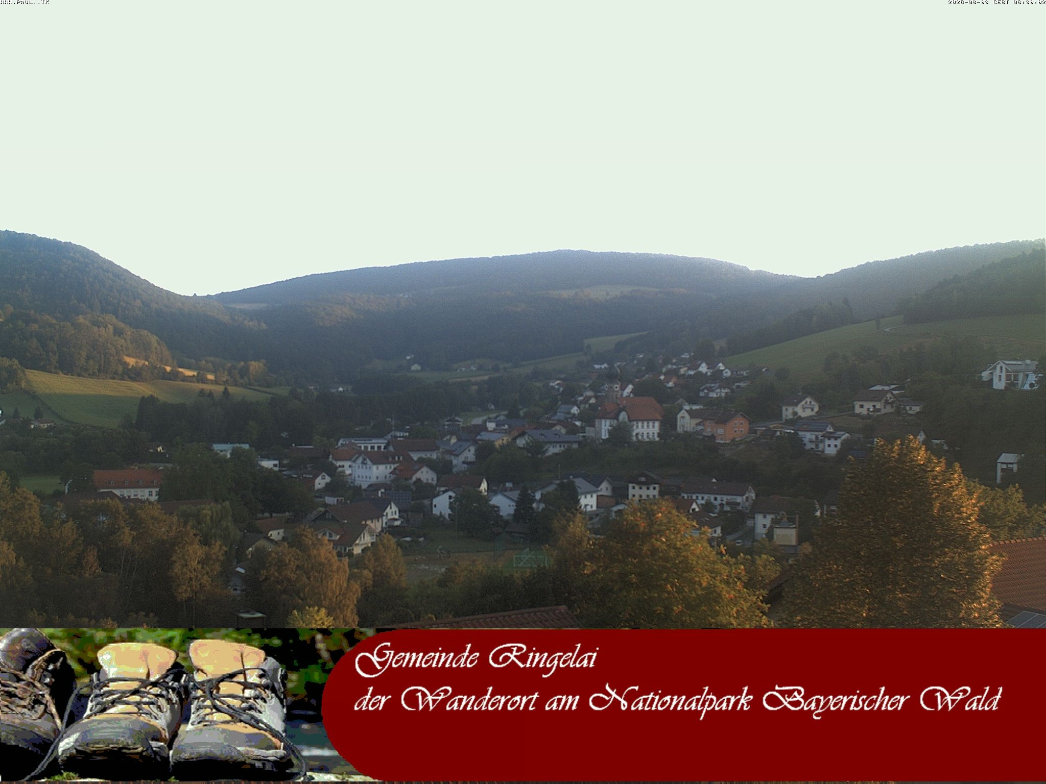 Archiv Foto Webcam Ringelai