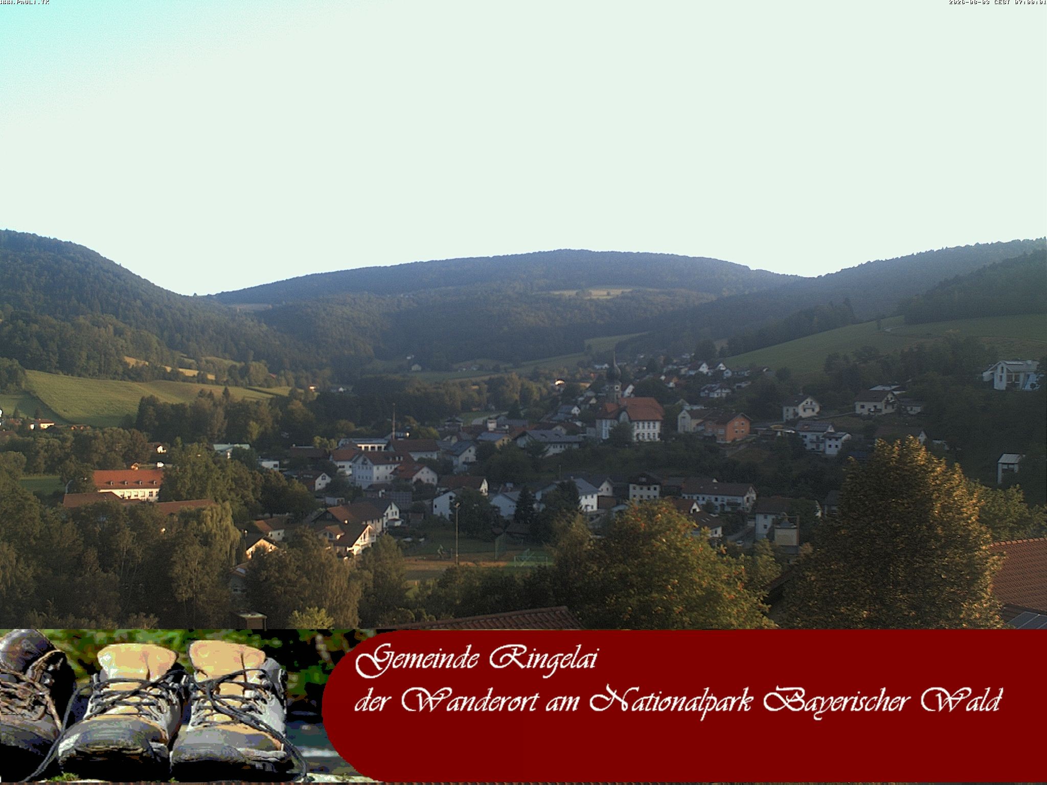 Archiv Foto Webcam Ringelai