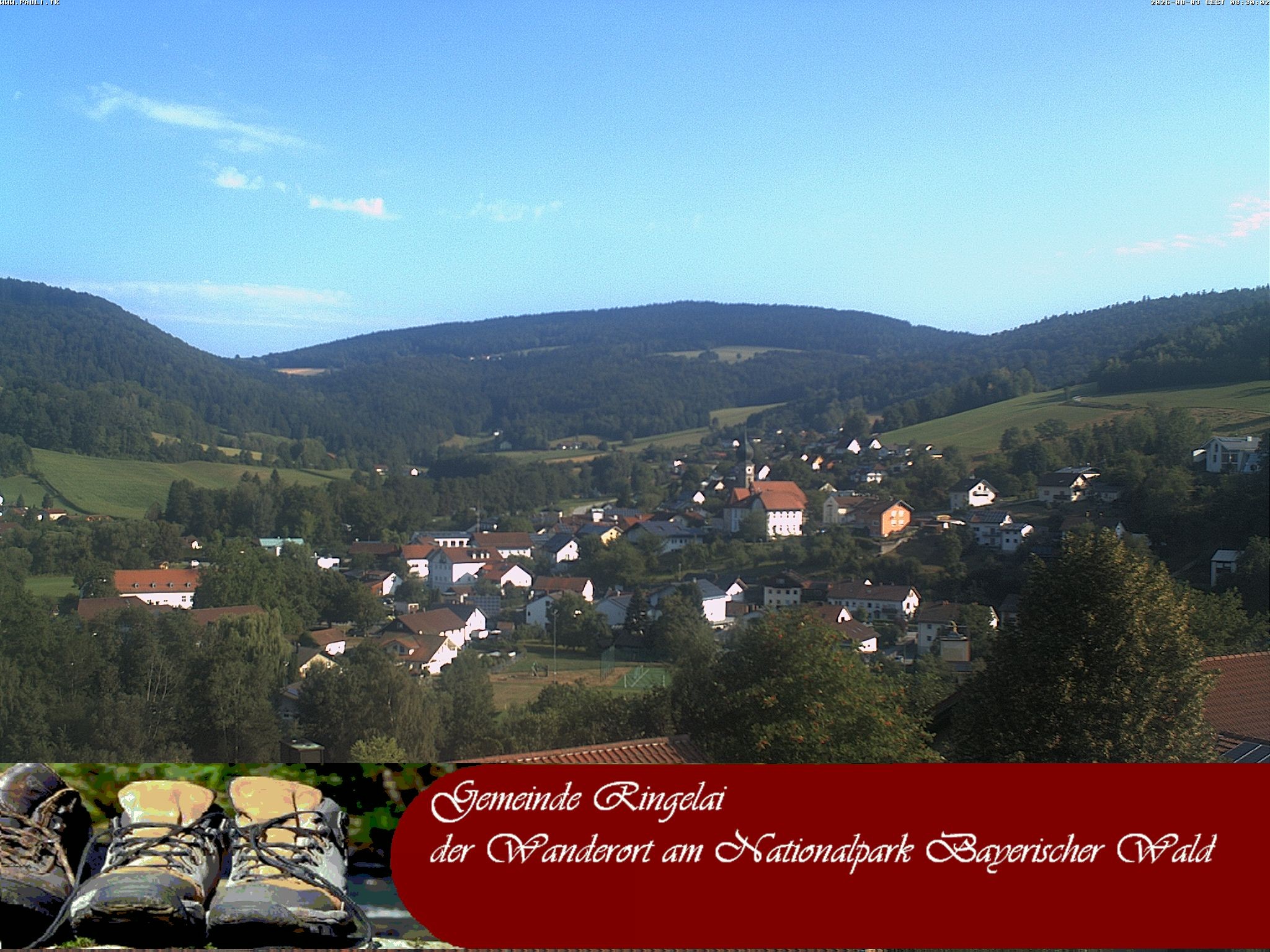 Archiv Foto Webcam Ringelai