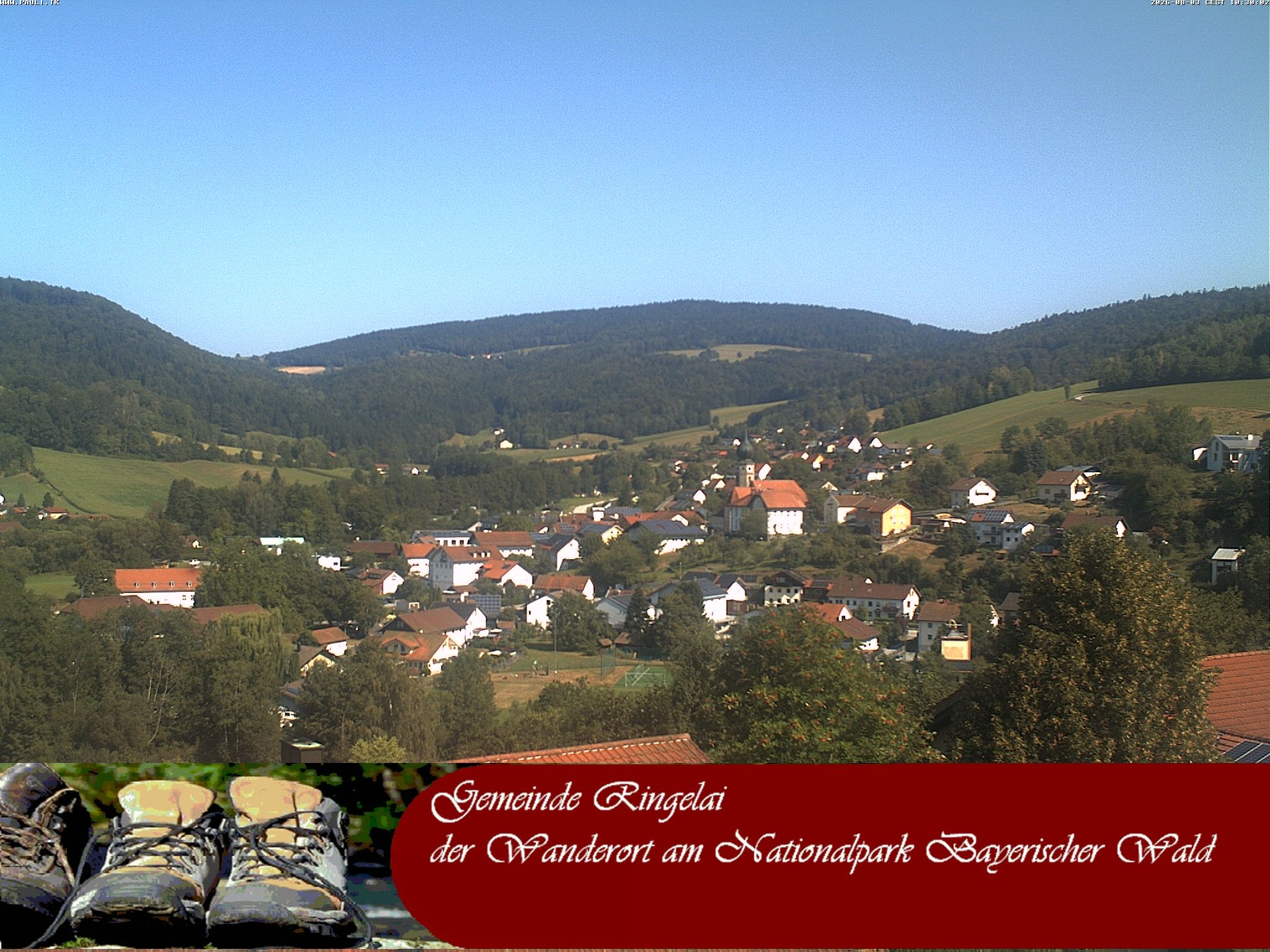 Archiv Foto Webcam Ringelai