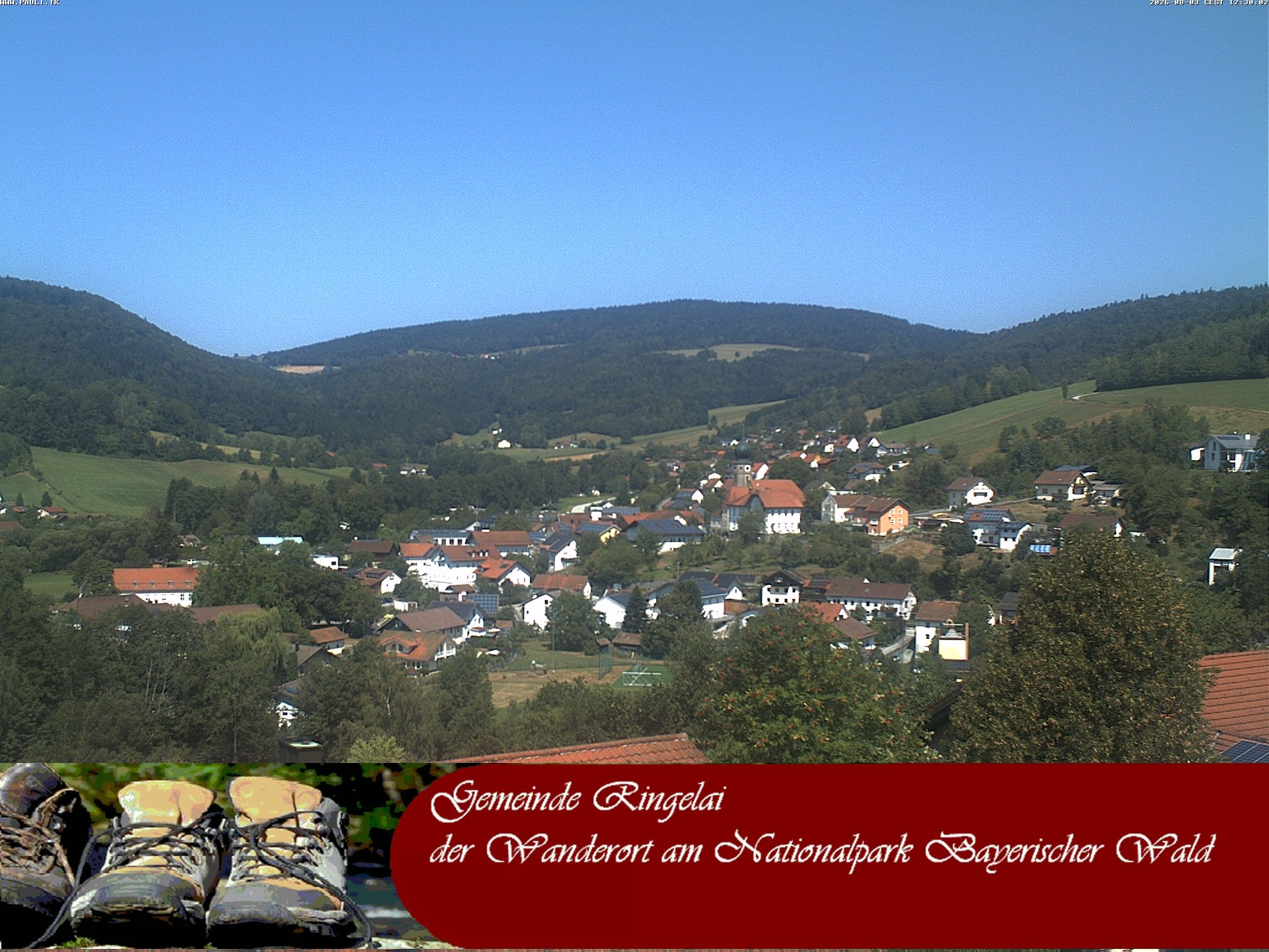 Archiv Foto Webcam Ringelai