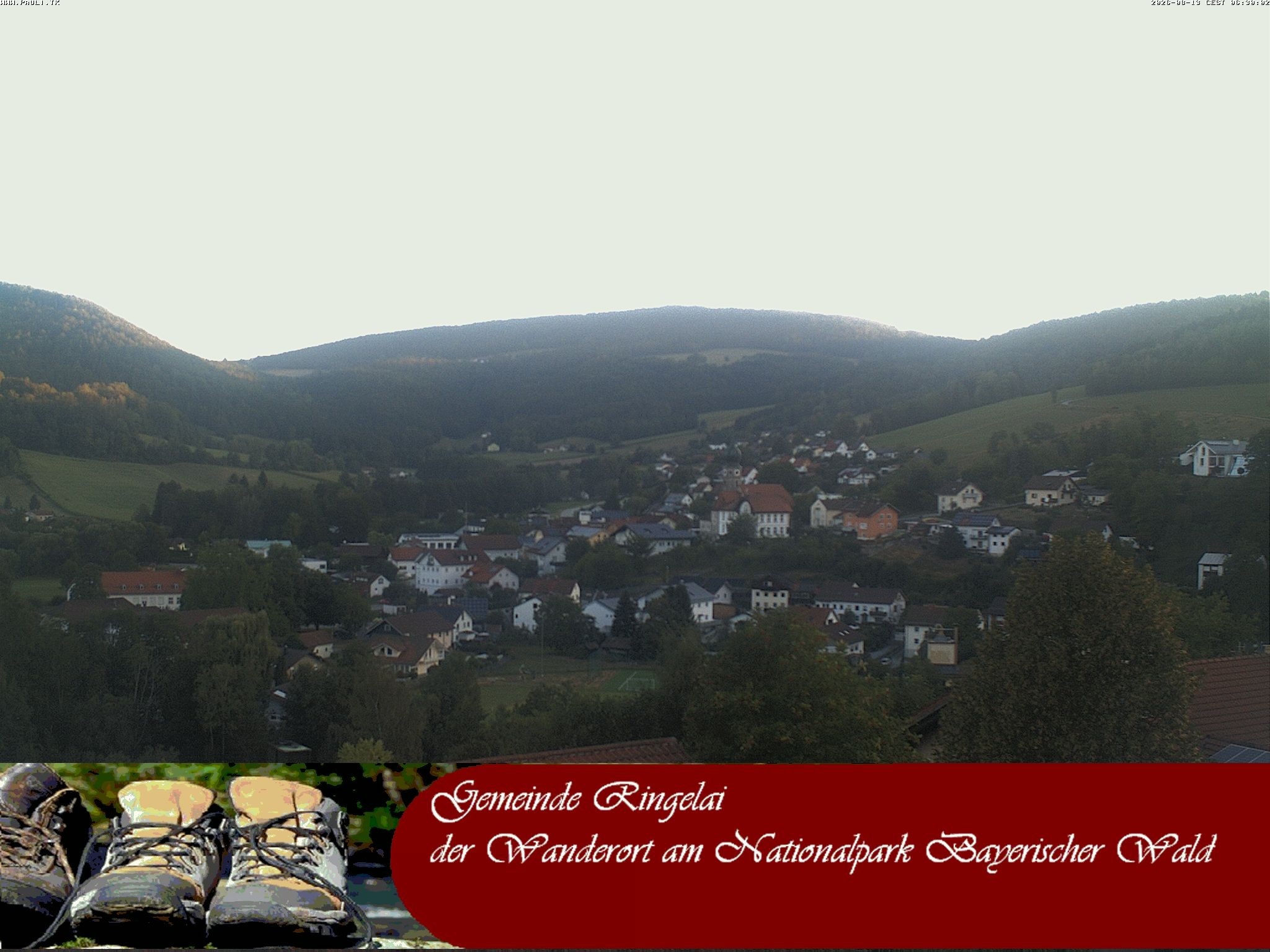Archiv Foto Webcam Ringelai