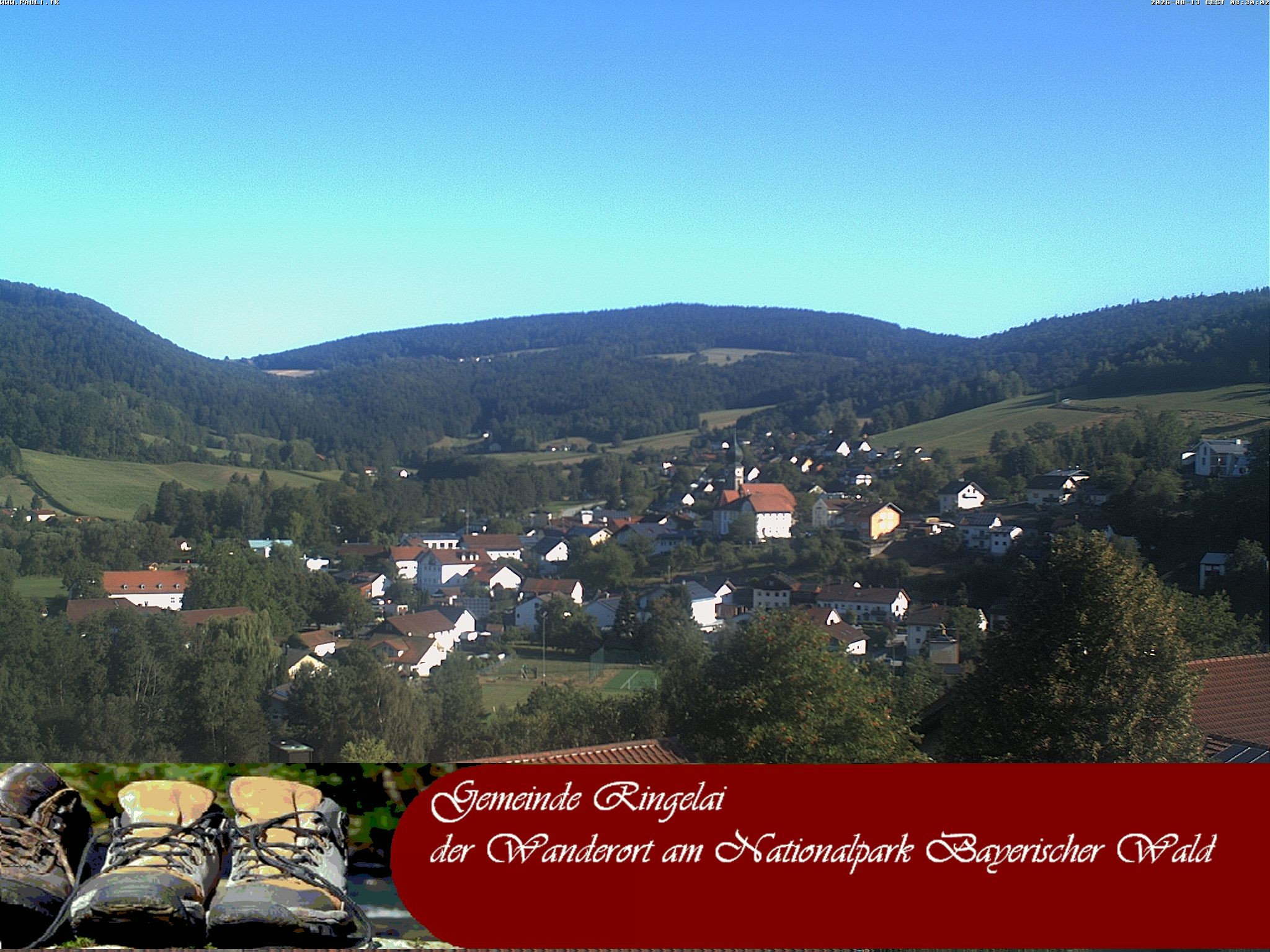 Archiv Foto Webcam Ringelai