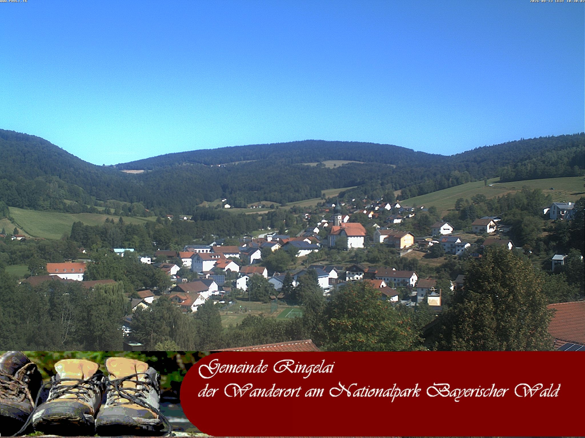 Archiv Foto Webcam Ringelai