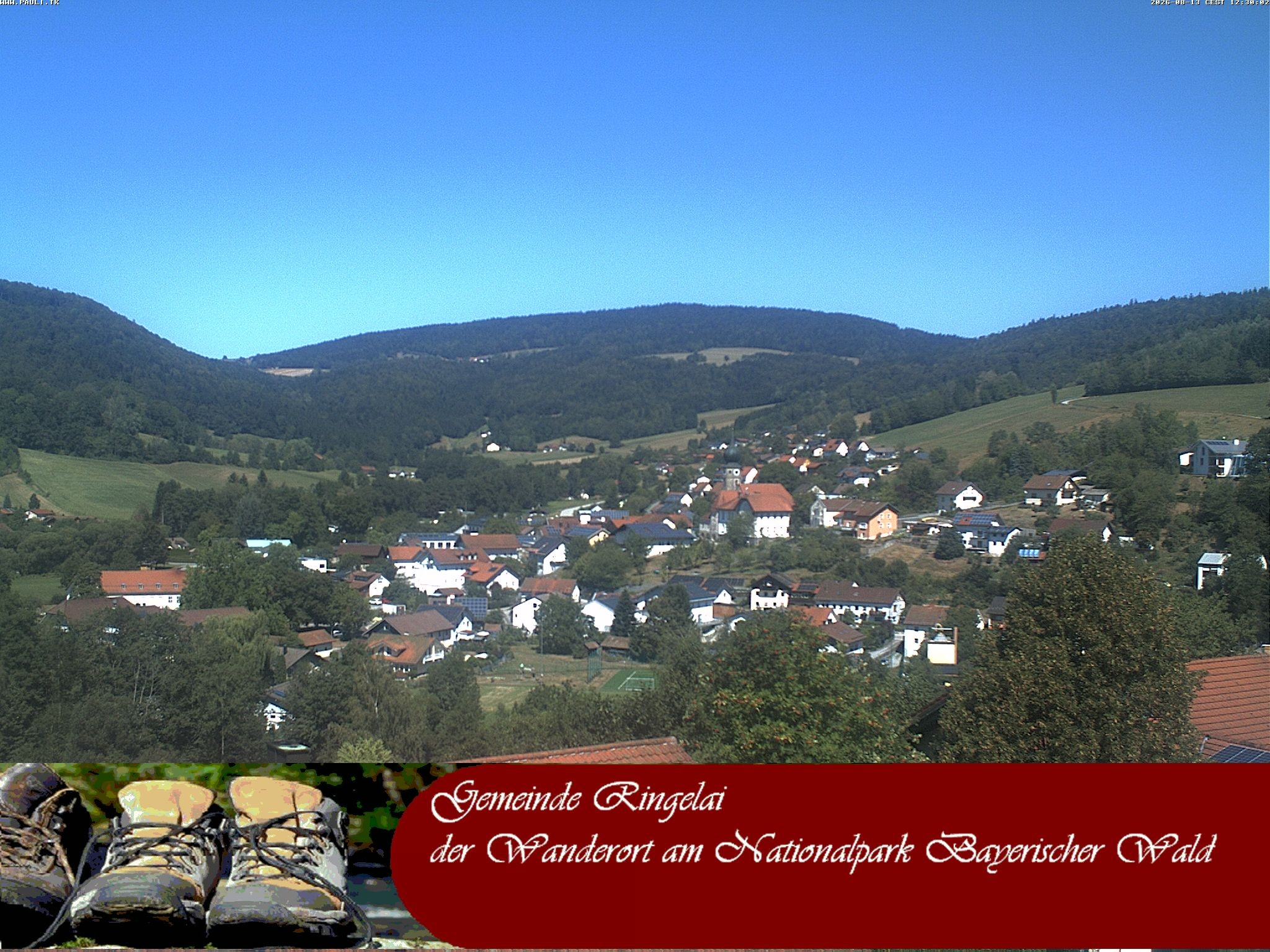 Archiv Foto Webcam Ringelai