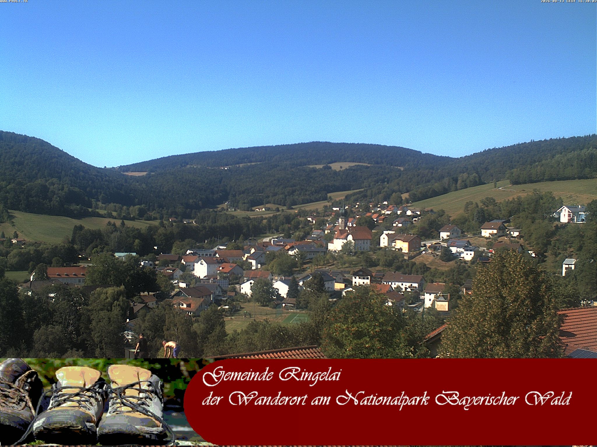 Archiv Foto Webcam Ringelai
