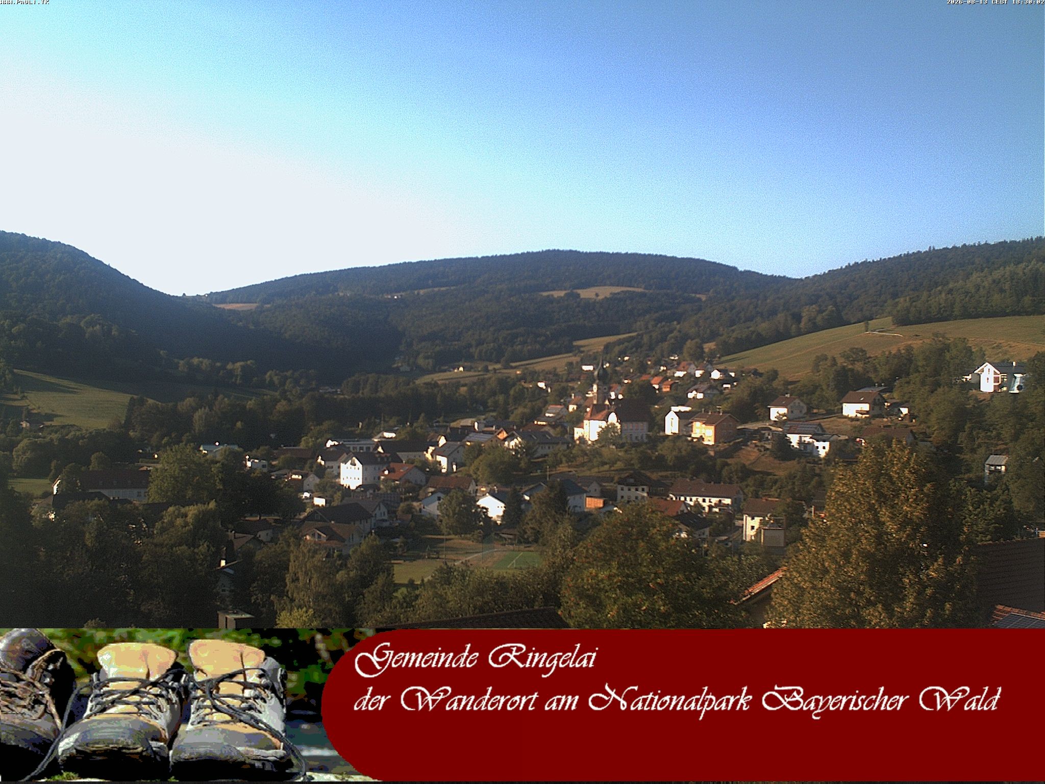 Archiv Foto Webcam Ringelai