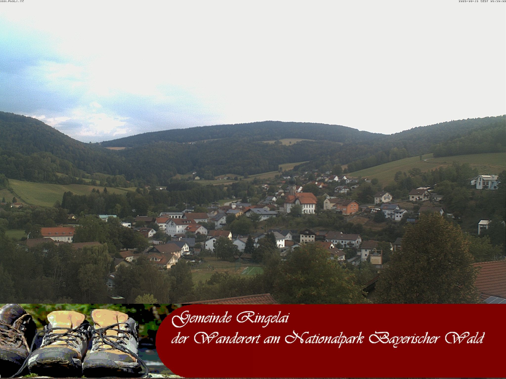 Archiv Foto Webcam Ringelai
