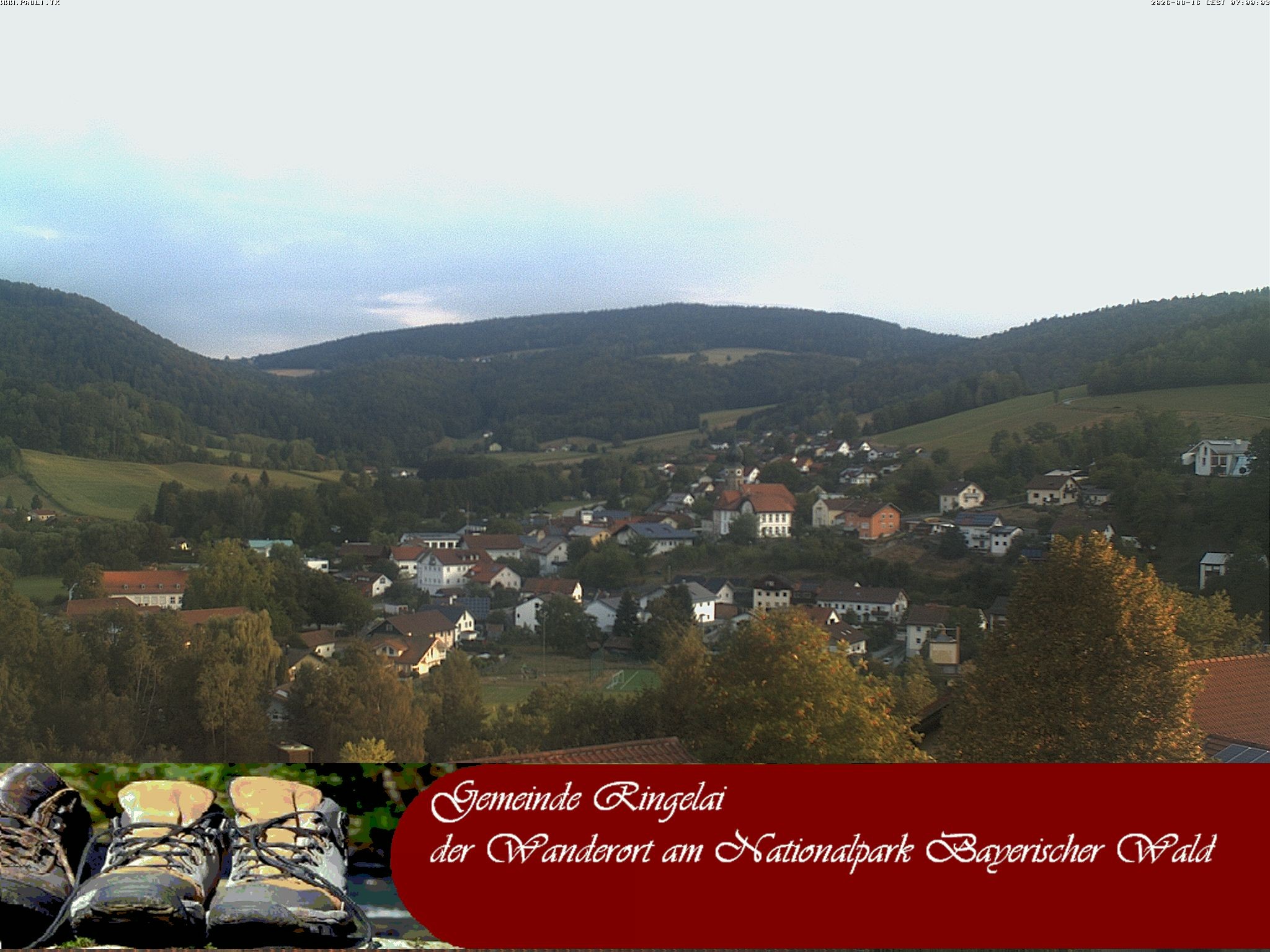 Archiv Foto Webcam Ringelai